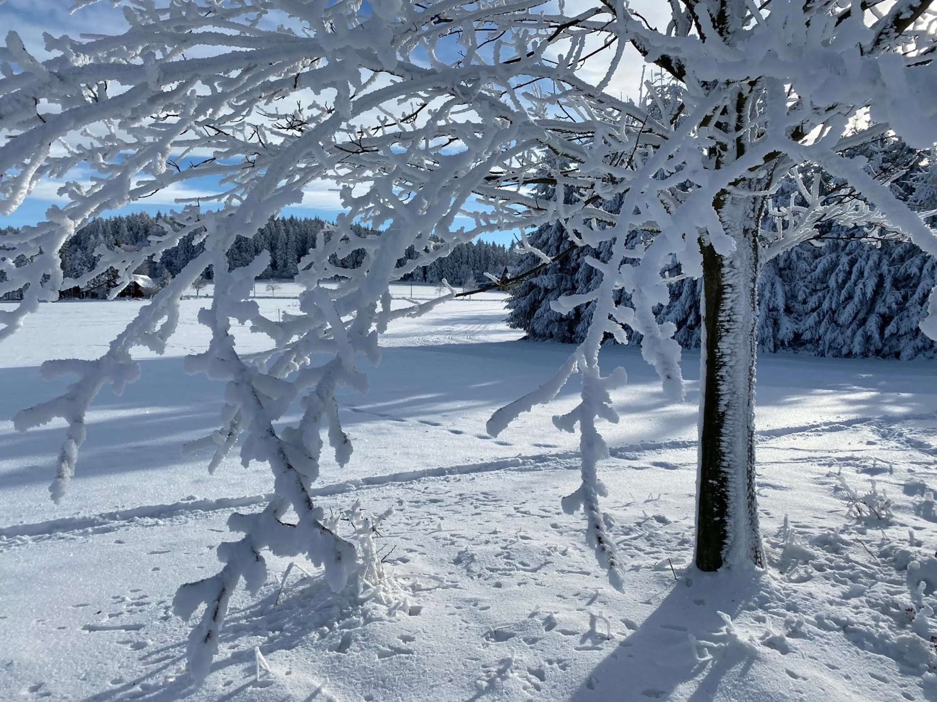 Skiing in Berghotel Talblick