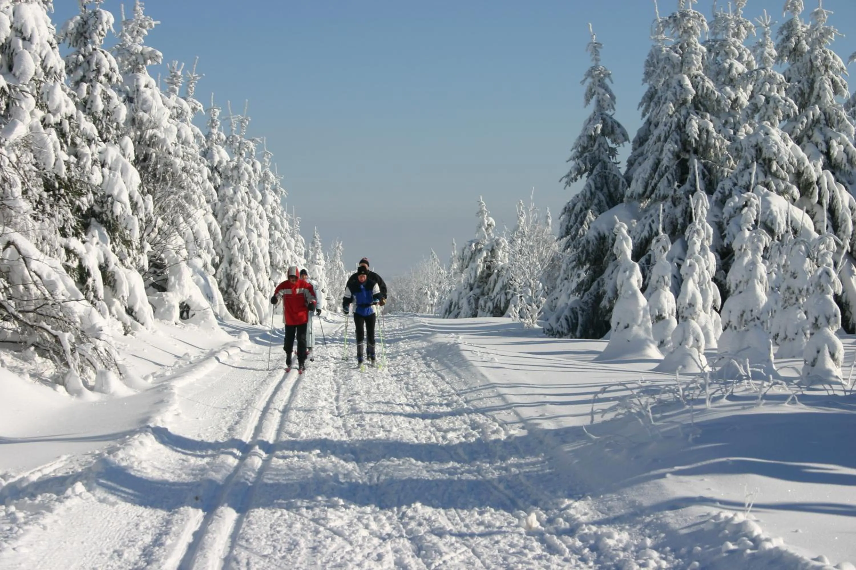 Skiing in Berghotel Talblick