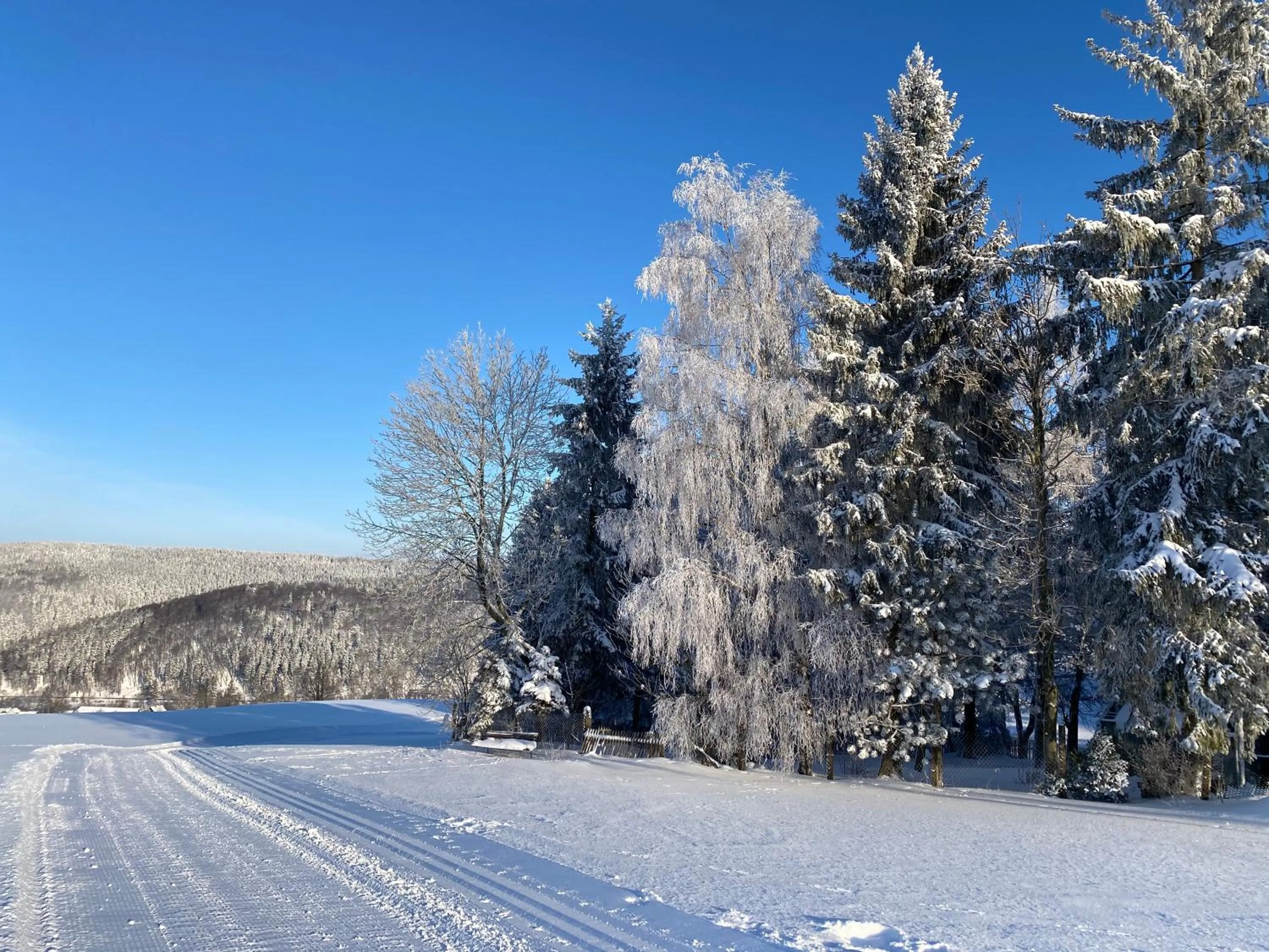 Skiing in Berghotel Talblick