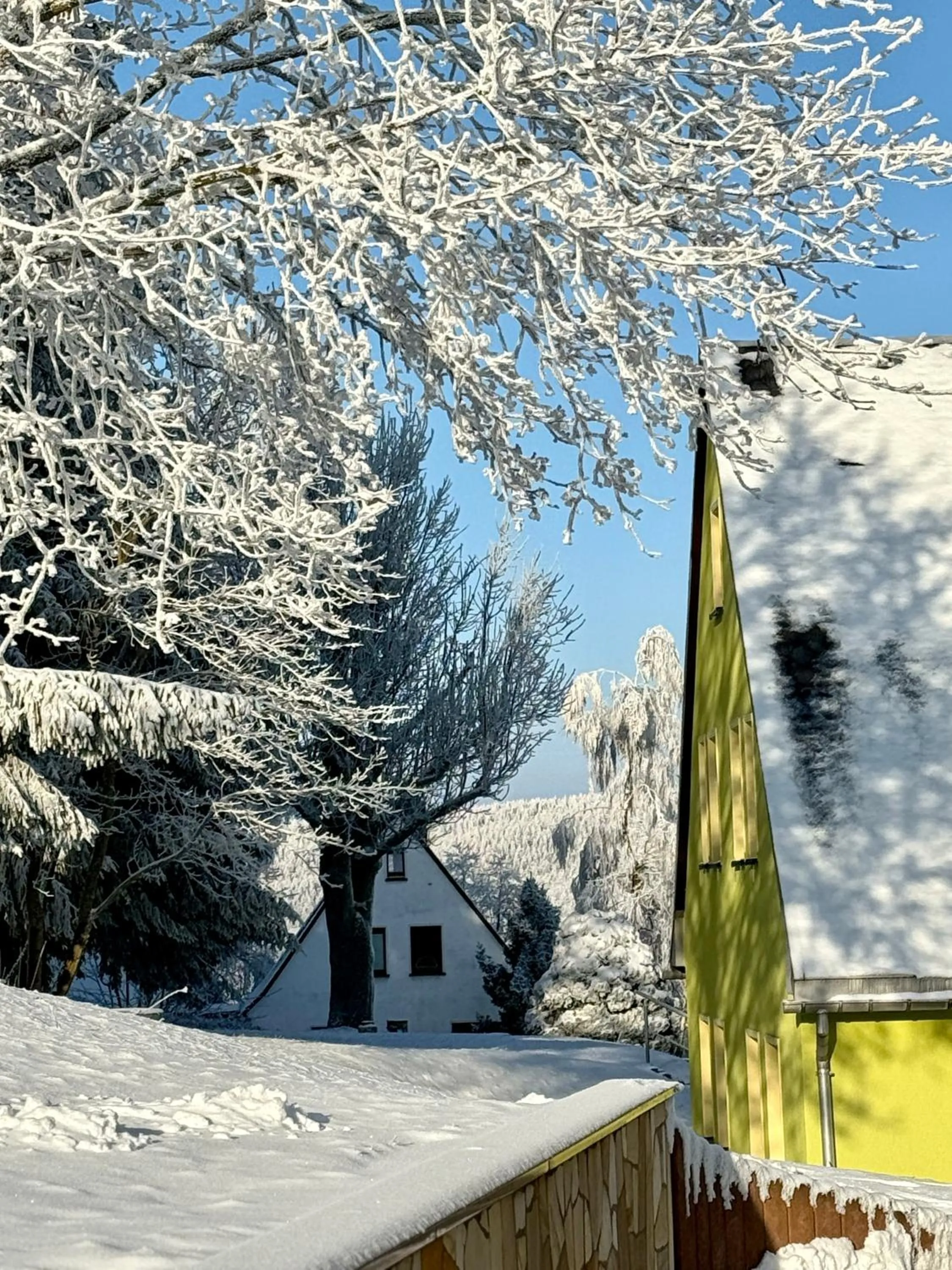 Winter in Berghotel Talblick