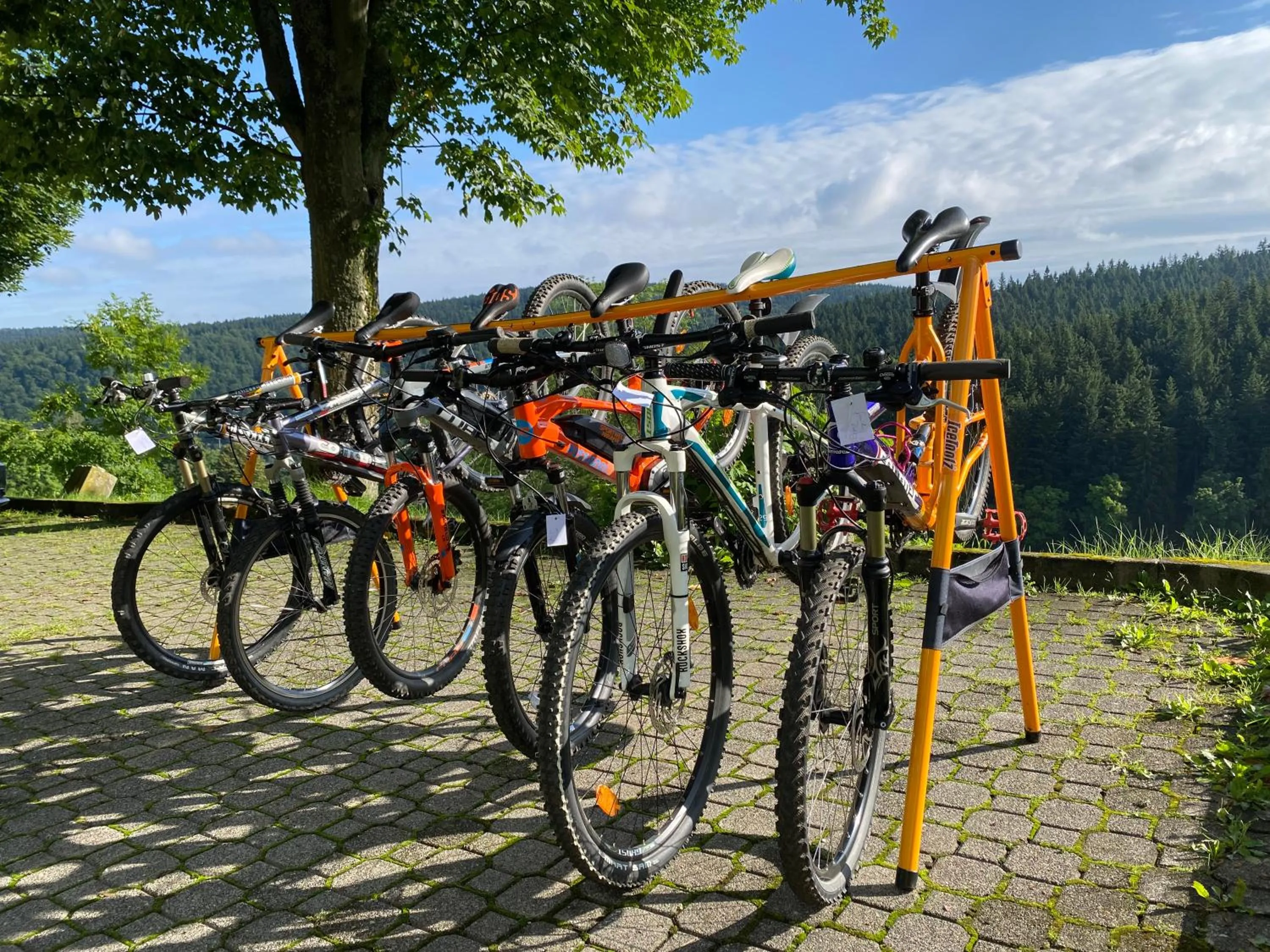 Cycling in Berghotel Talblick