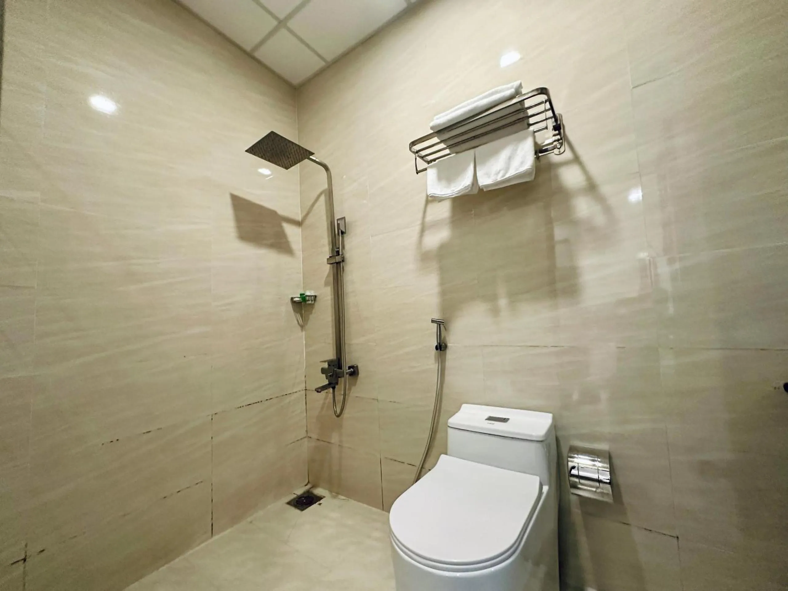 Shower in LION HOTEL