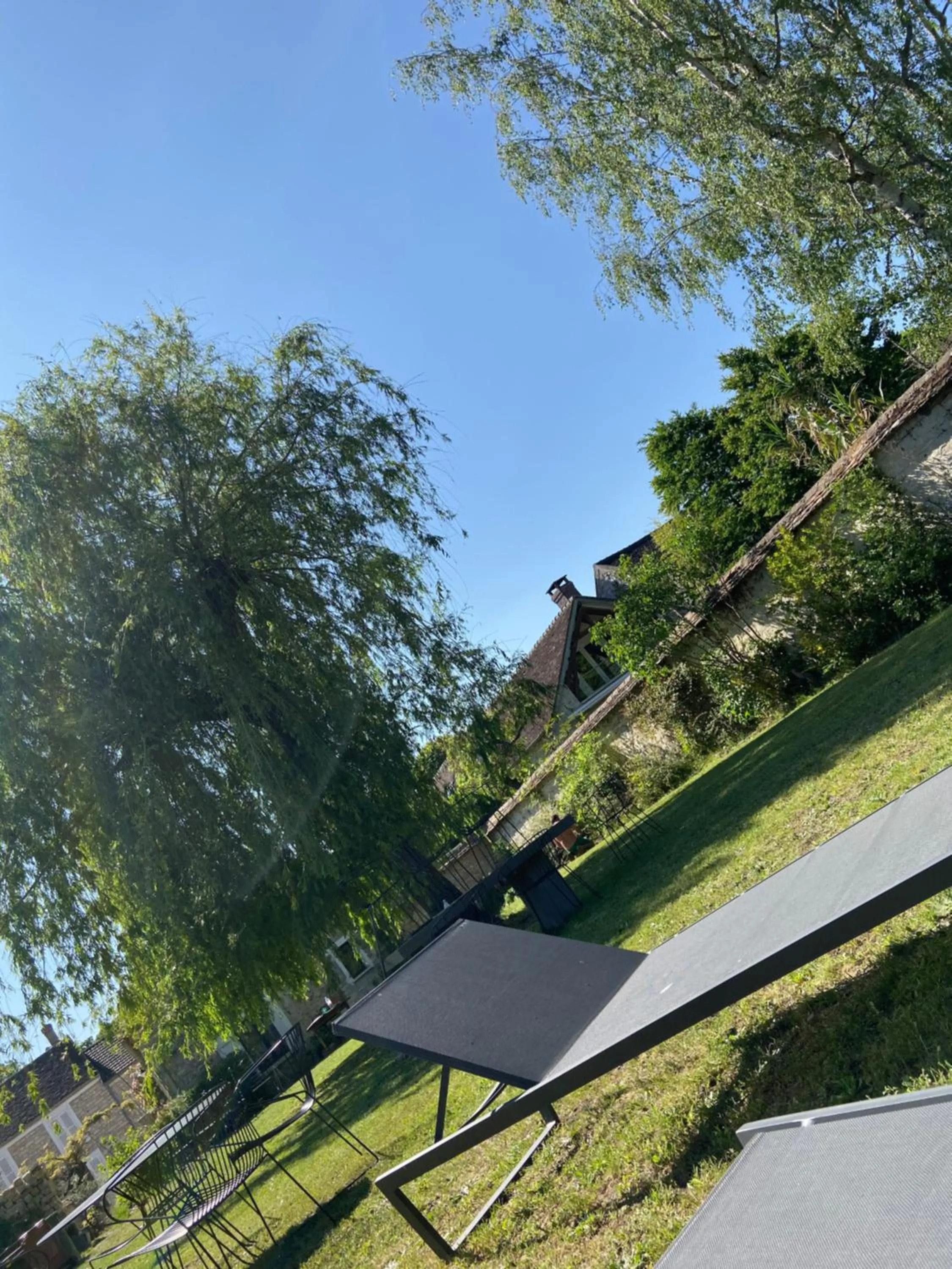 Cocon en lisière de forêt