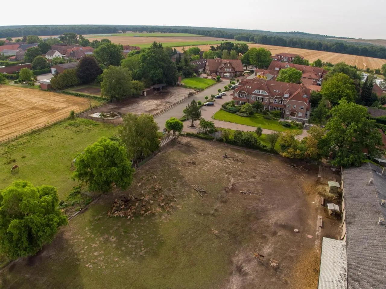 View (from property/room) in Hotel Hennies