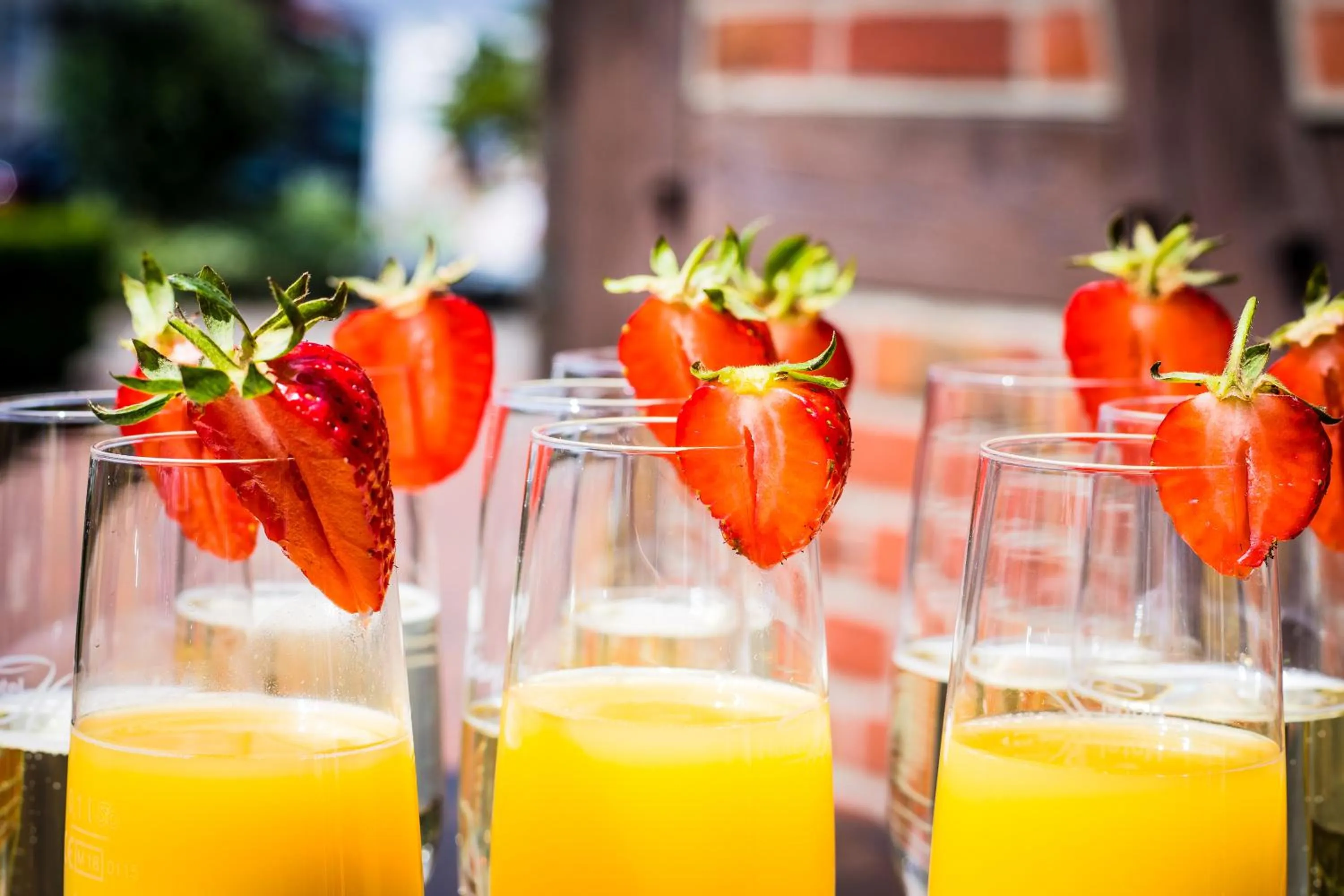 Drinks in Hotel Hennies