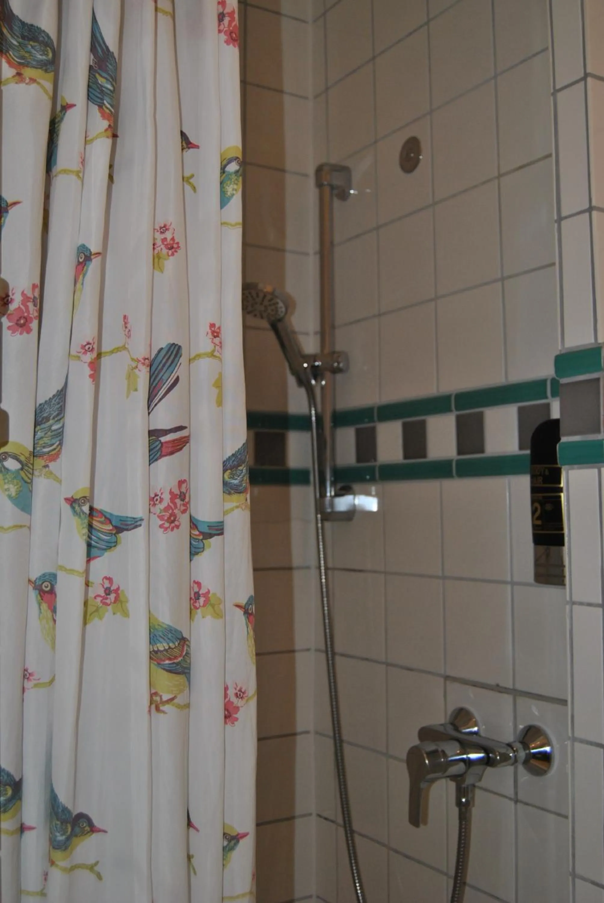 Shower in Hotel Kurpfalzstuben