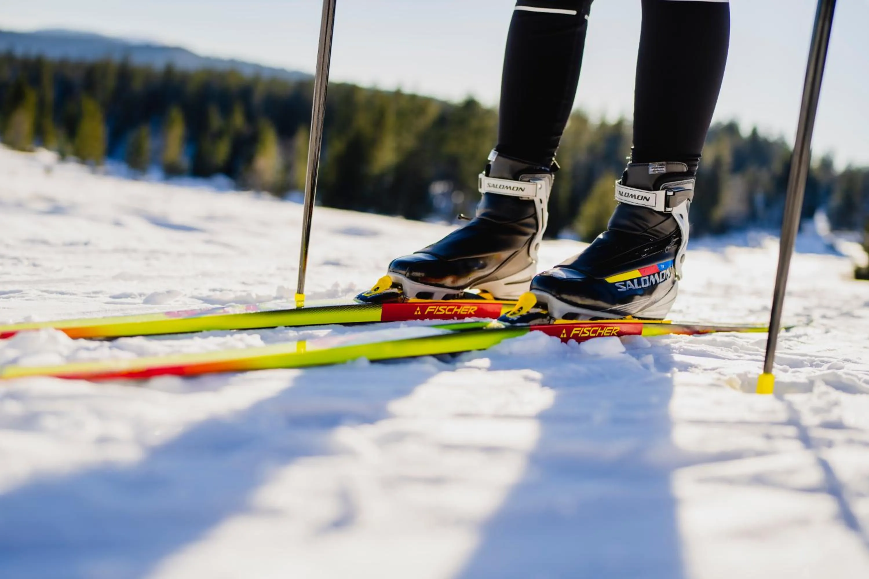 Activities in Das Waldhotel - Genuss & Wellness am Notschreipass