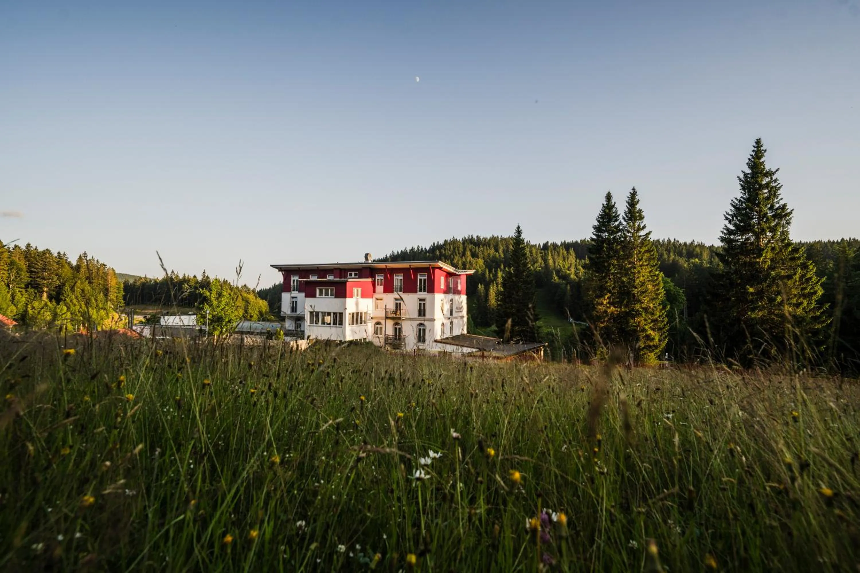 Property building in Das Waldhotel - Genuss & Wellness am Notschreipass