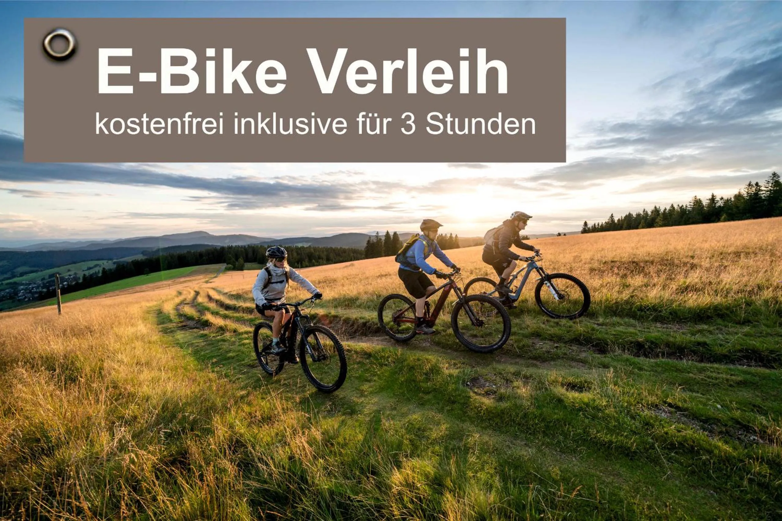 Activities in Das Waldhotel - Genuss & Wellness am Notschreipass