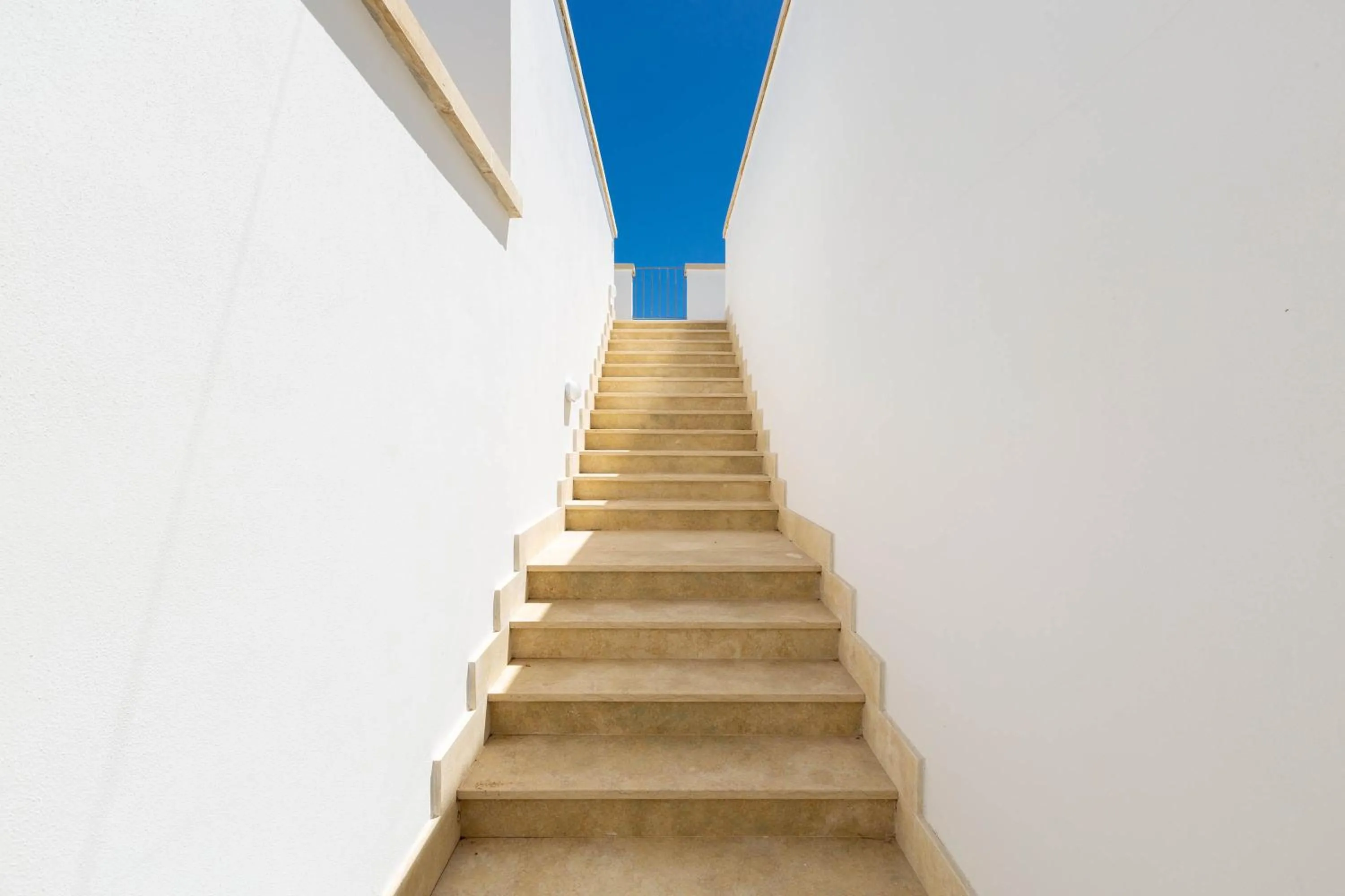 Other in B&B I Tarocchi