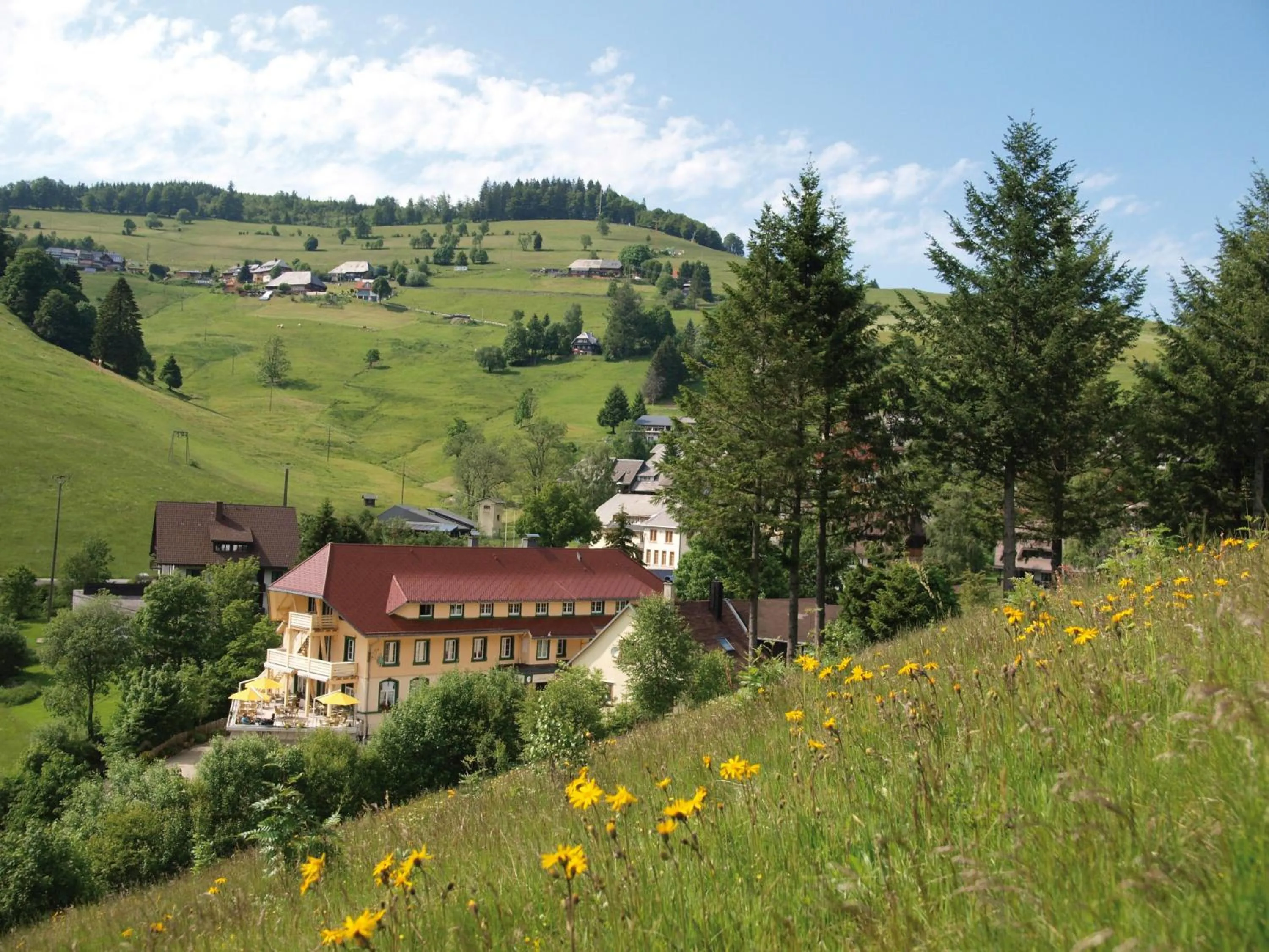 Property building in Grüner Baum Naturparkhotel & Schwarzwald-Restaurant