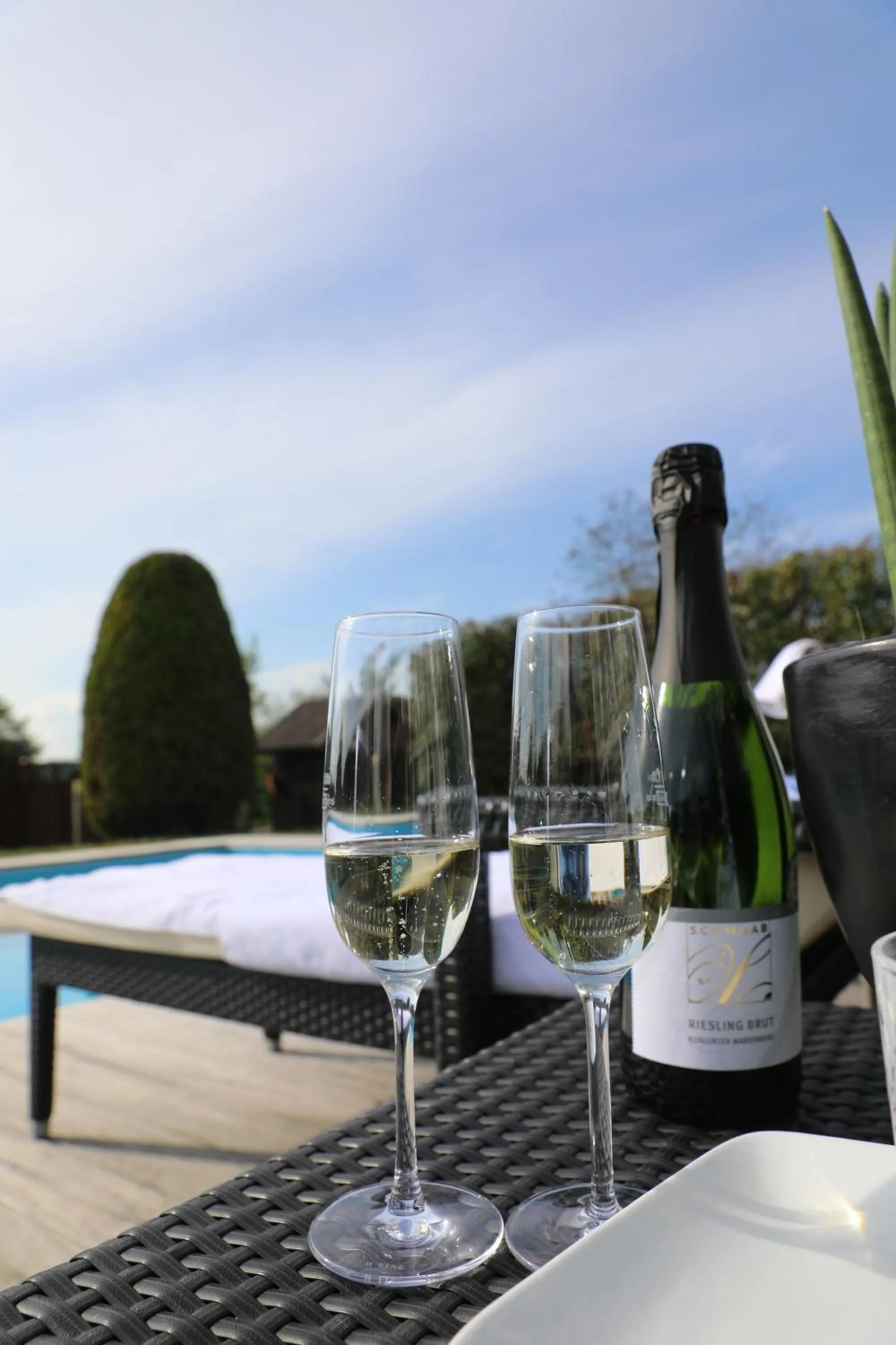 Swimming pool in Hotel Weinlaube