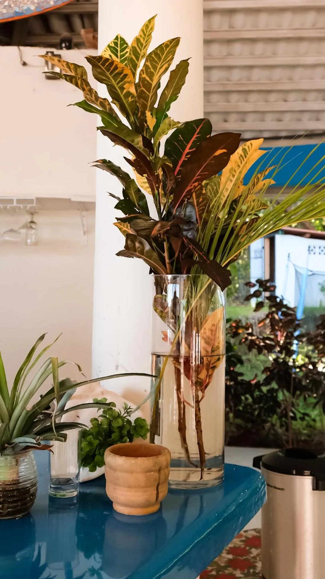 Restaurant/places to eat in Hotel Sol y Mar