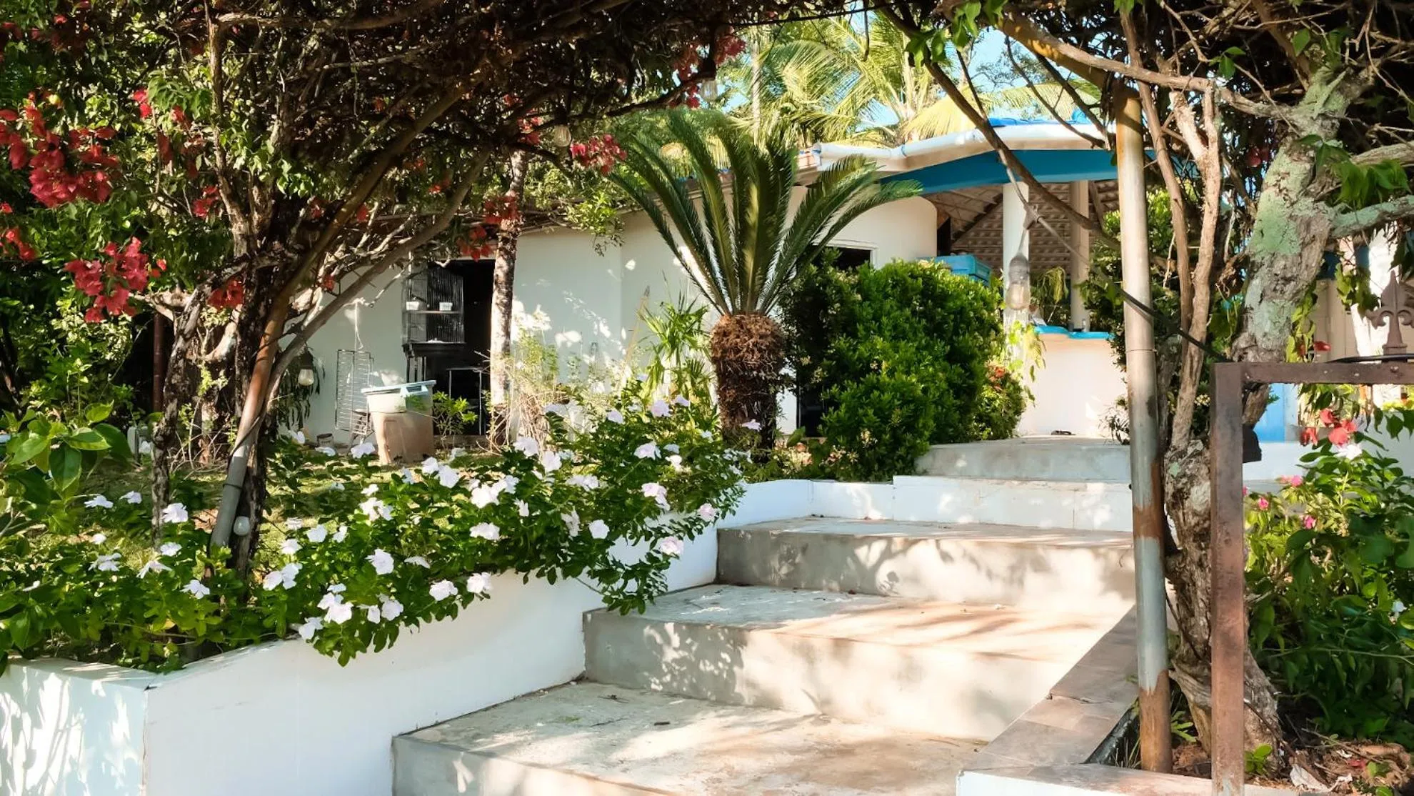 Garden in Hotel Sol y Mar