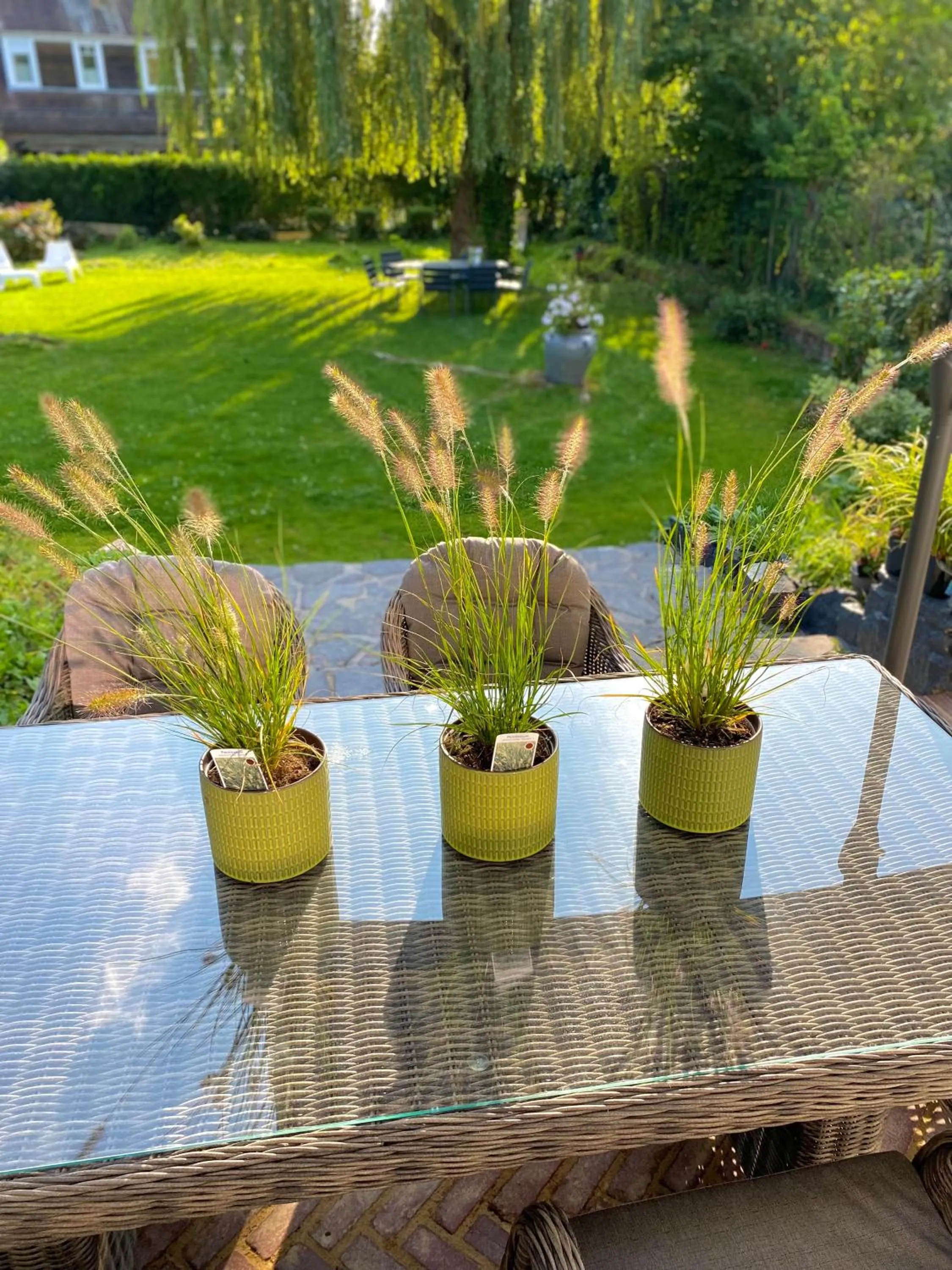 Garden in La Demeure Marcquoise