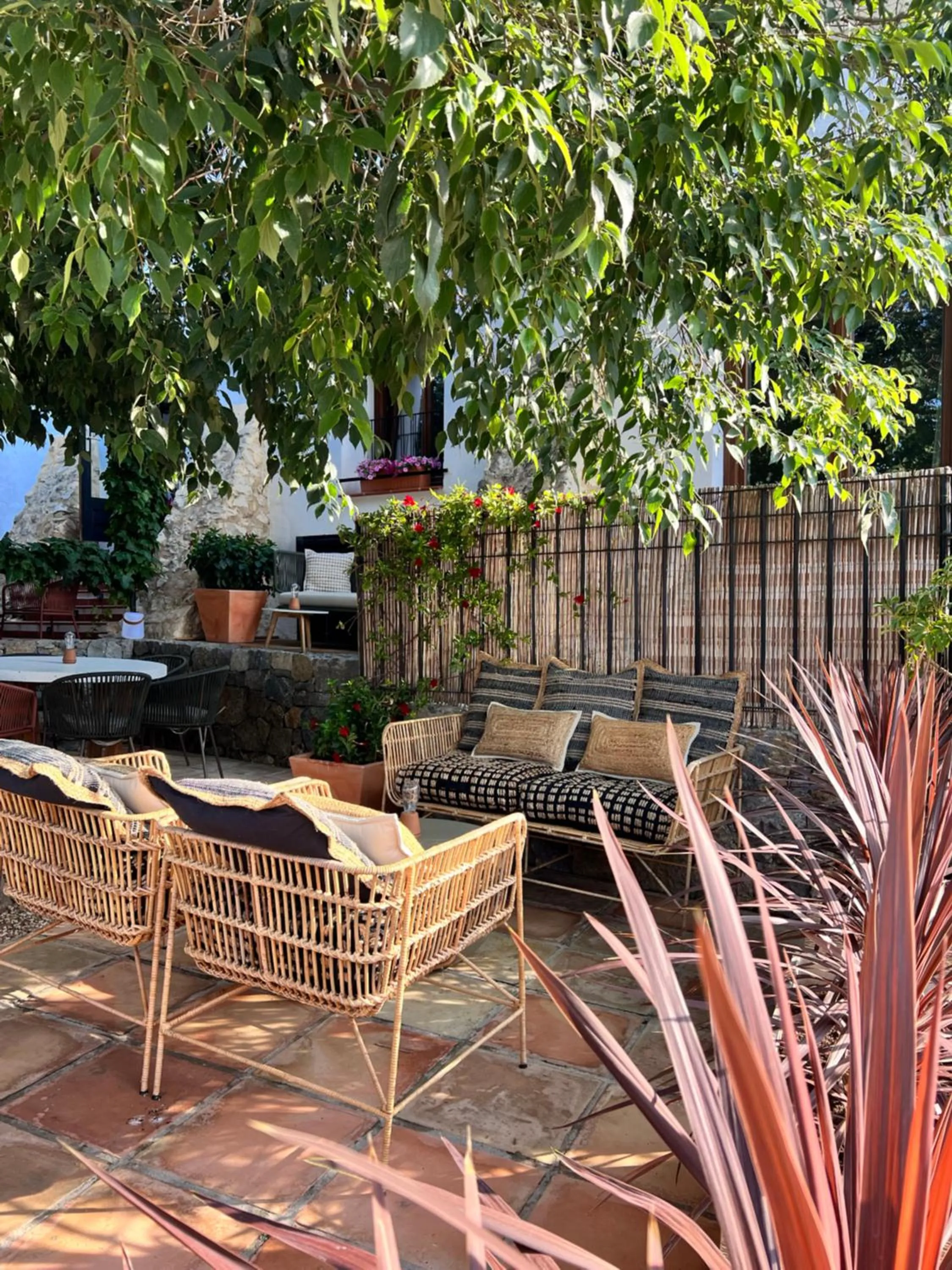 Restaurant/places to eat in Hostal del vino LA COSTERA