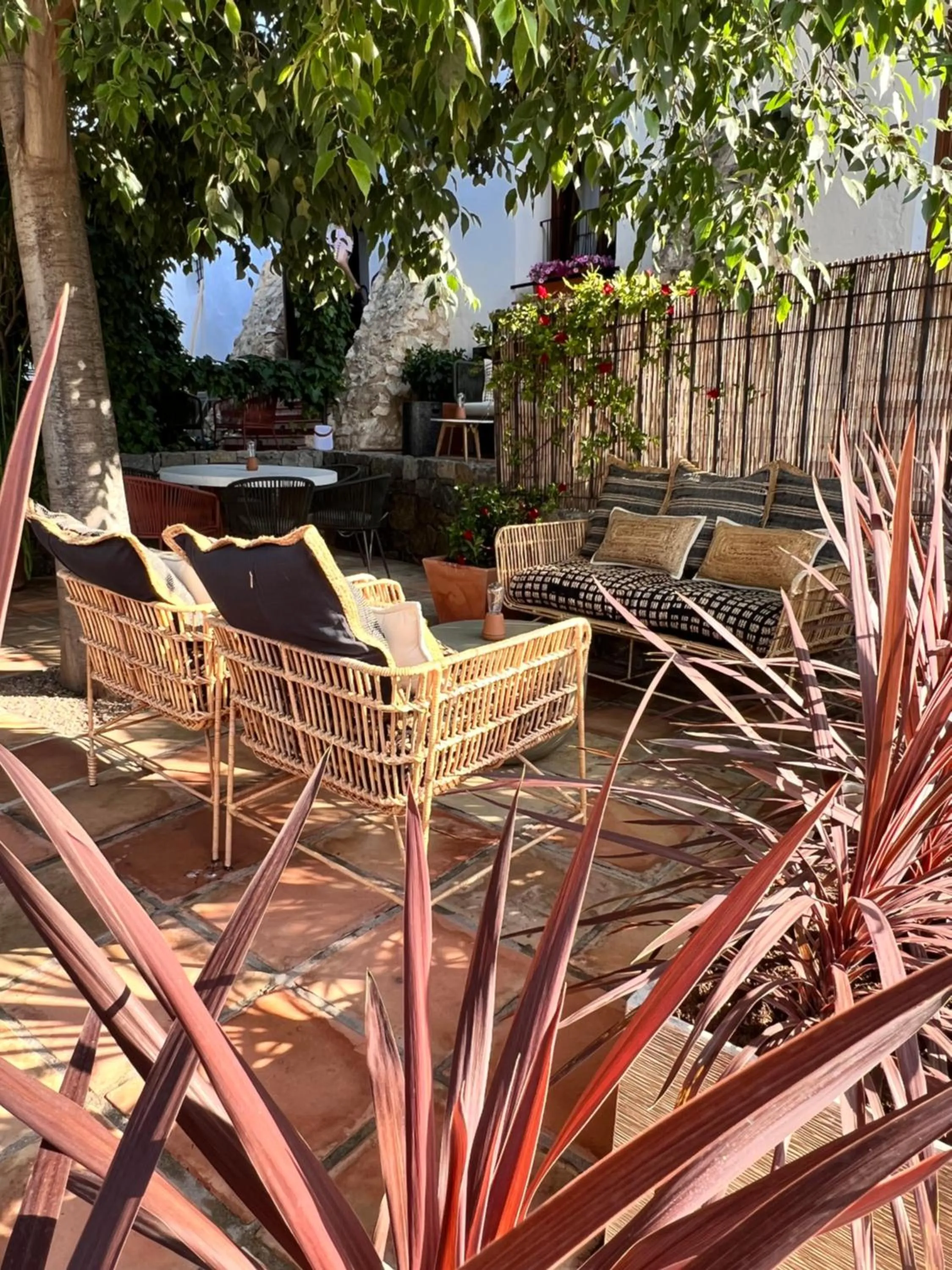 Restaurant/places to eat in Hostal del vino LA COSTERA