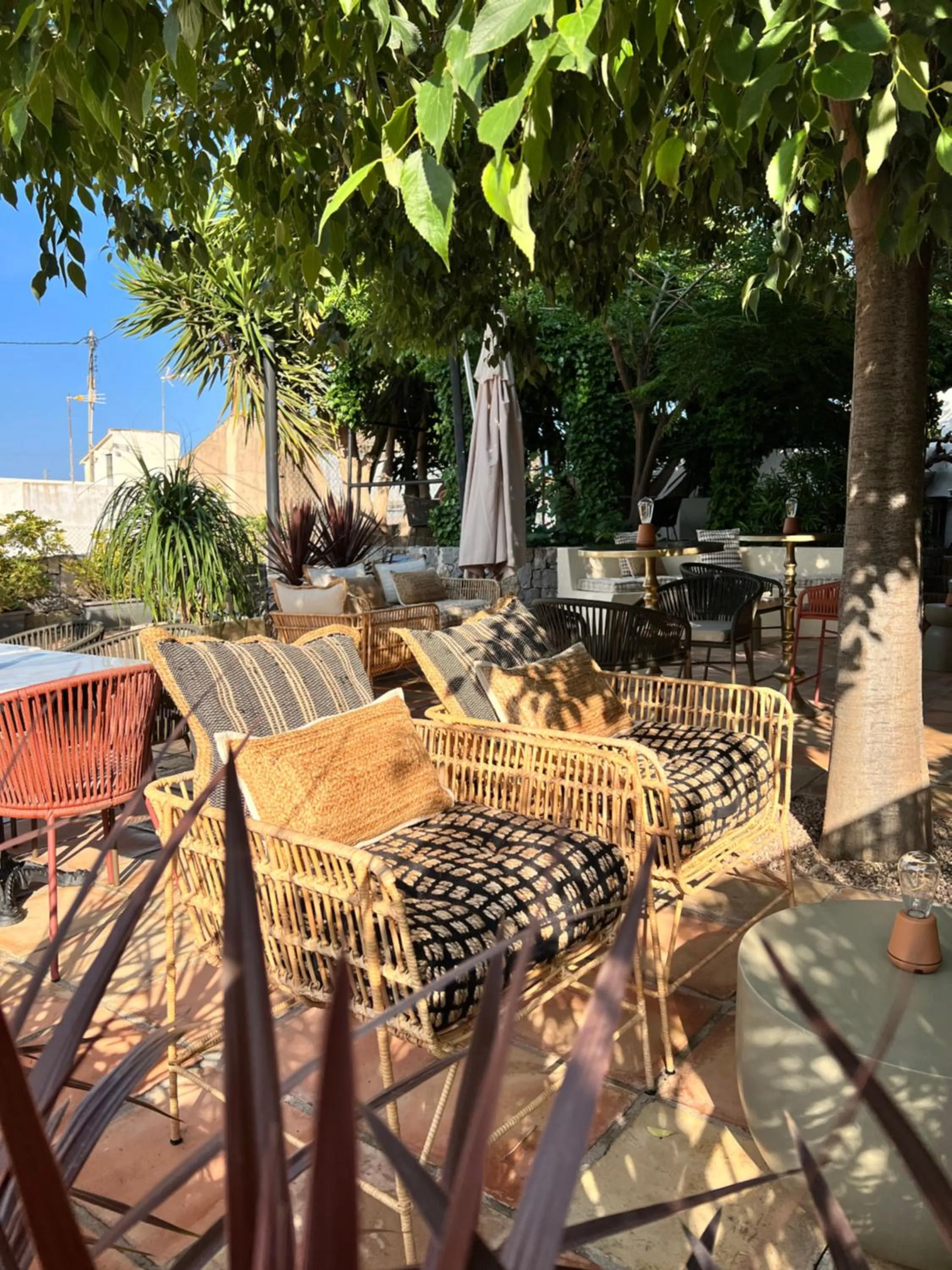 Restaurant/places to eat in Hostal del vino LA COSTERA