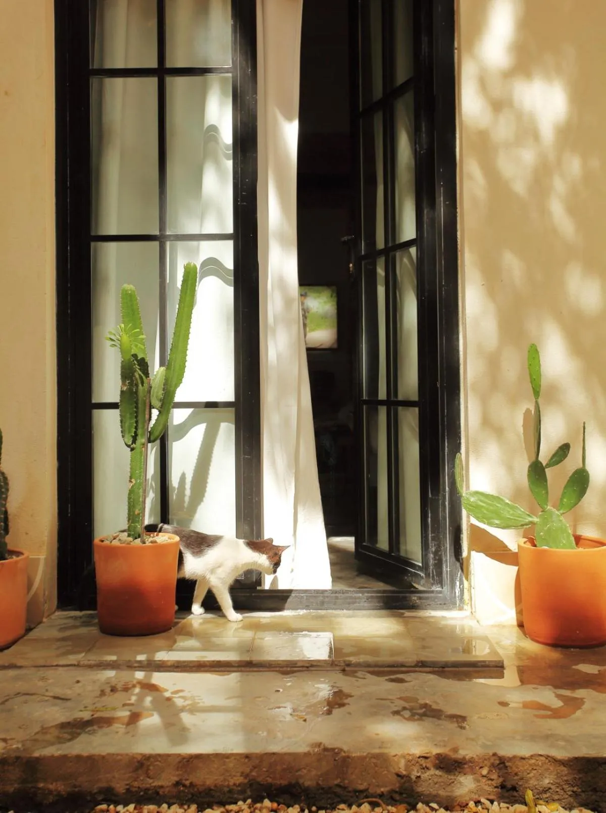 View (from property/room) in FIXIE LOFTS - Colonial Villa Suites with Pool