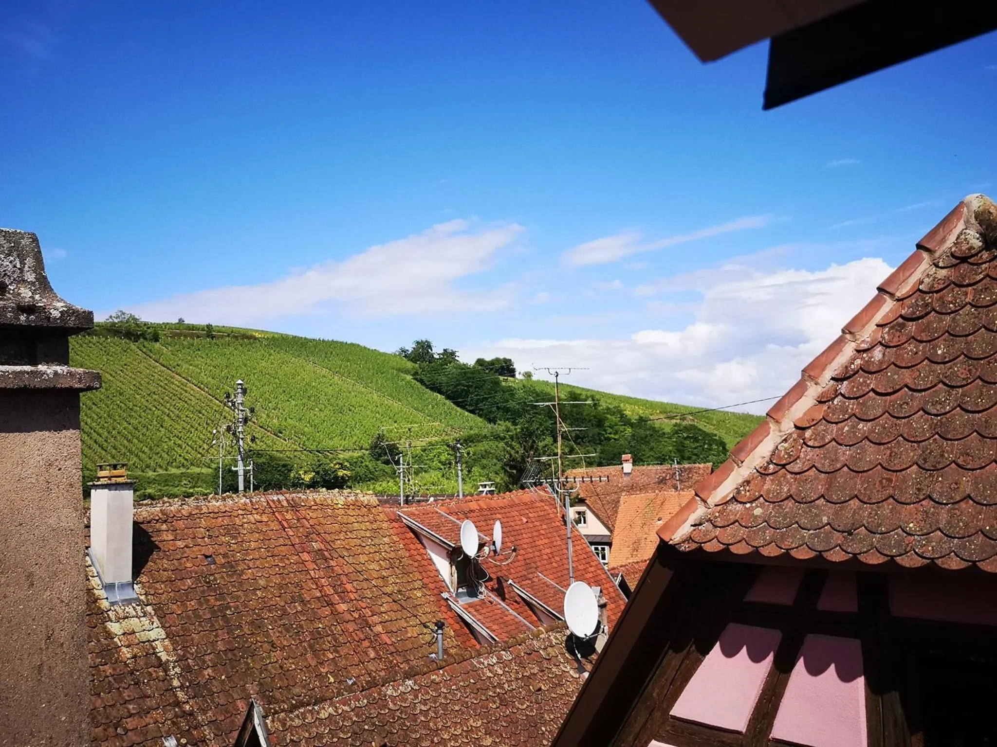 Garden view in chez Coco