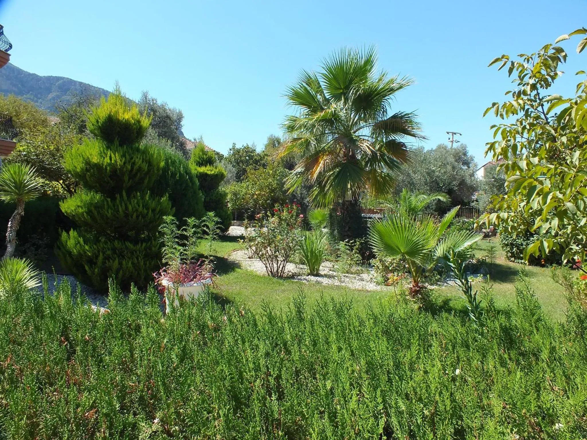 Garden in Everest Apart Hotel