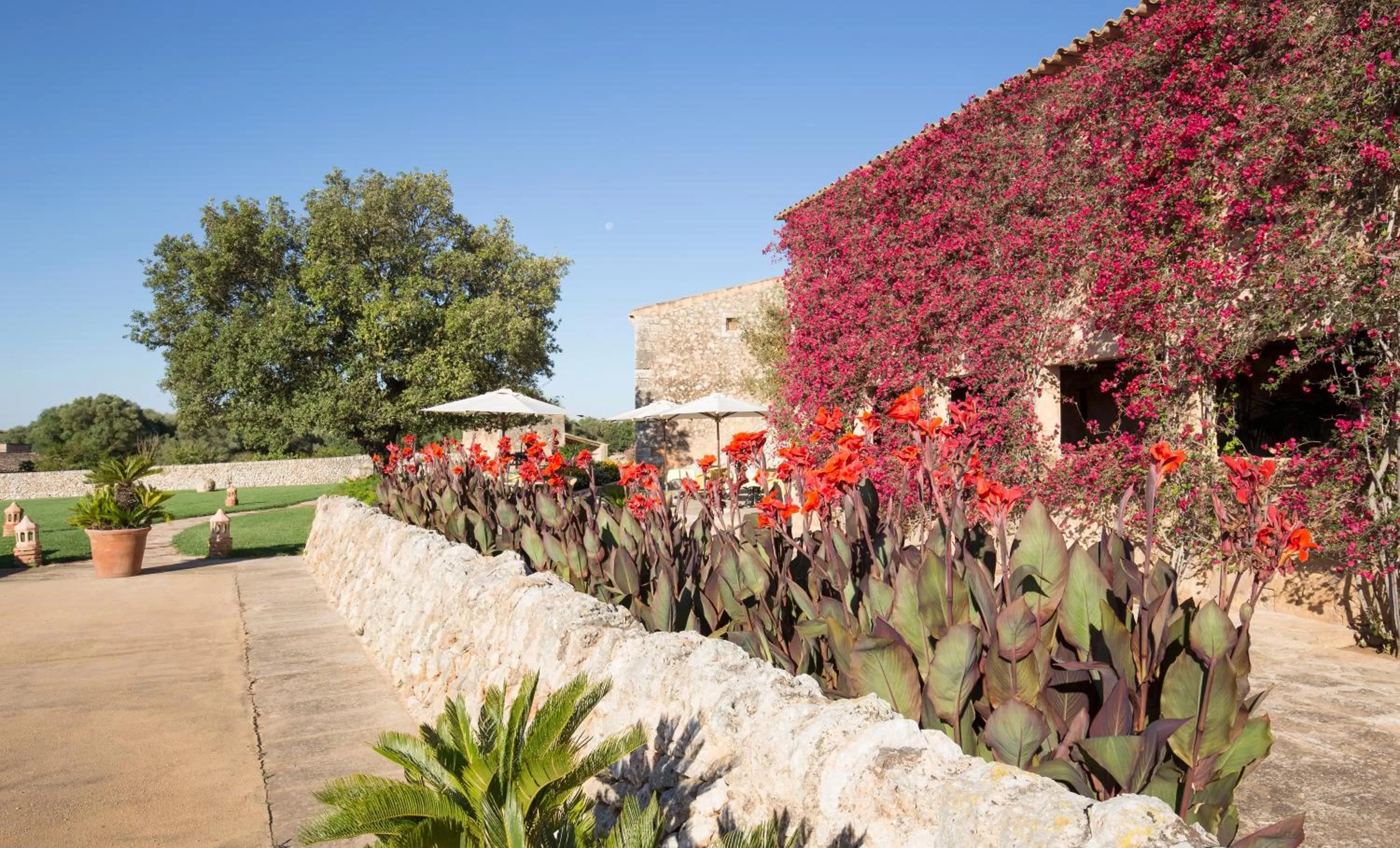 Garden in Hotel Son Cosmet