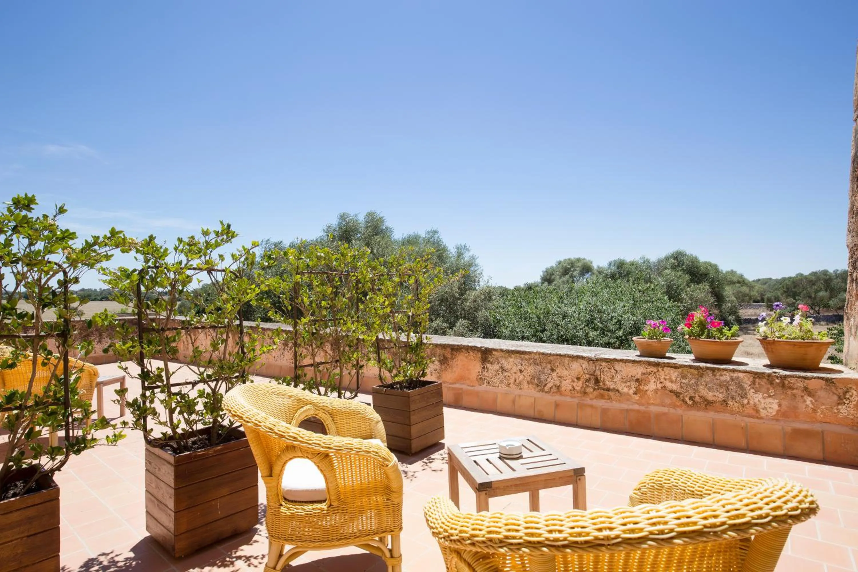 Patio in Hotel Son Cosmet