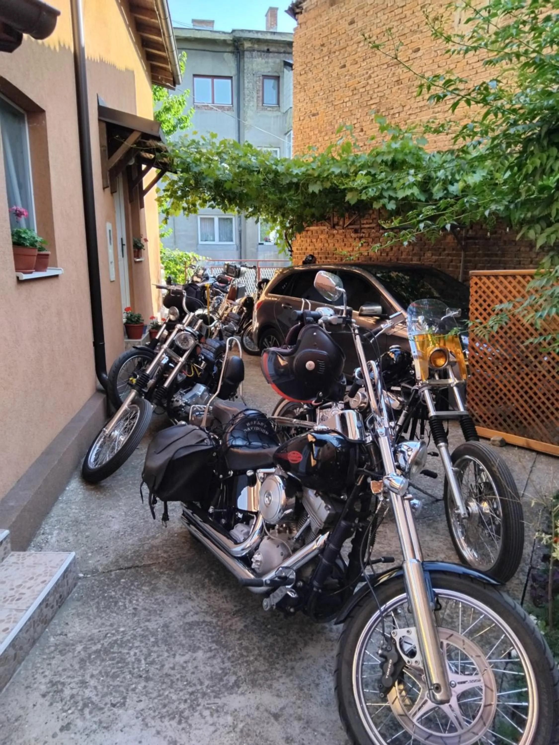 Day in Pansion Centar