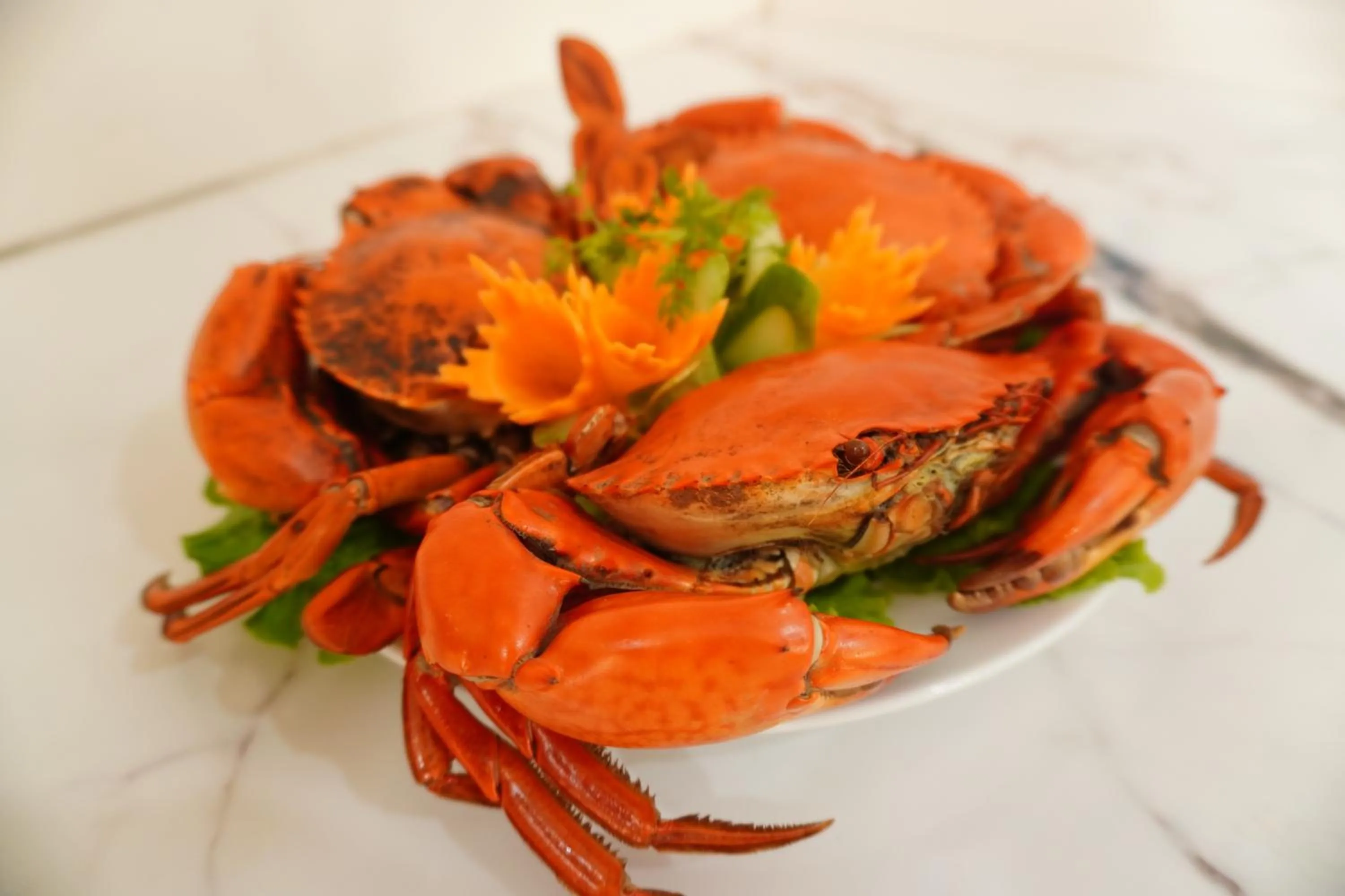 Food in Khách sạn Time Lotus Hạ Long