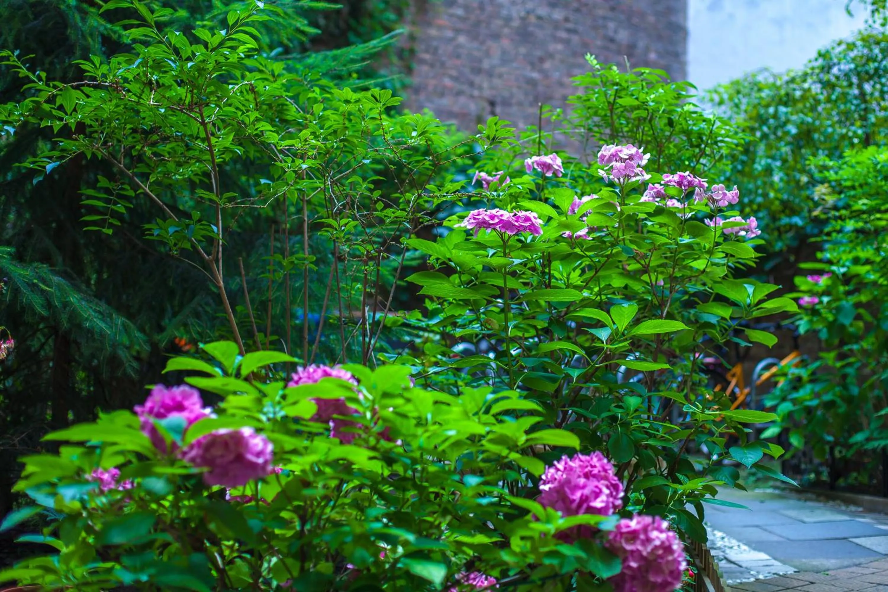 Garden in Hotel Elegia am Kurfürstendamm