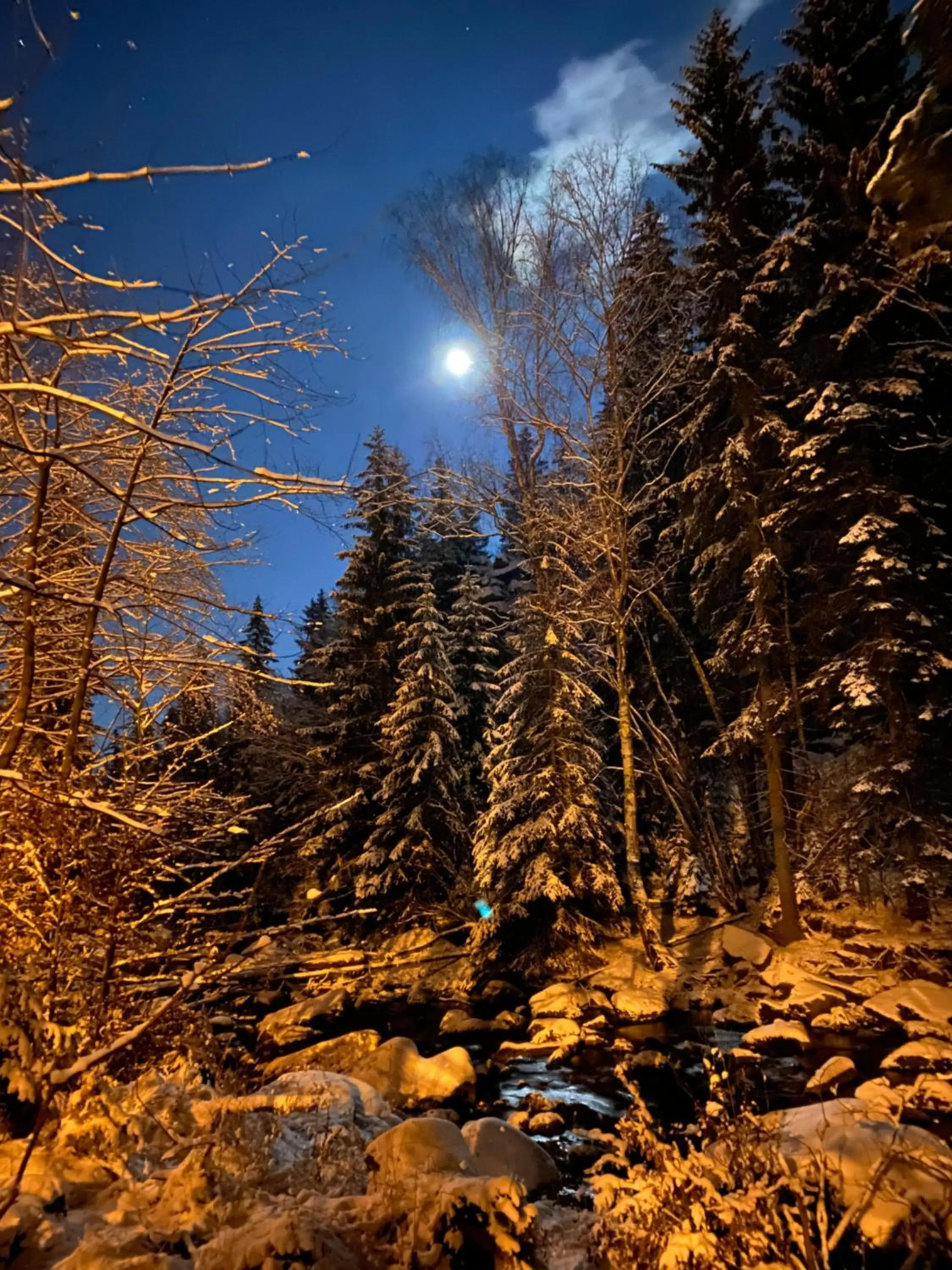 Natural landscape in OW Sudety