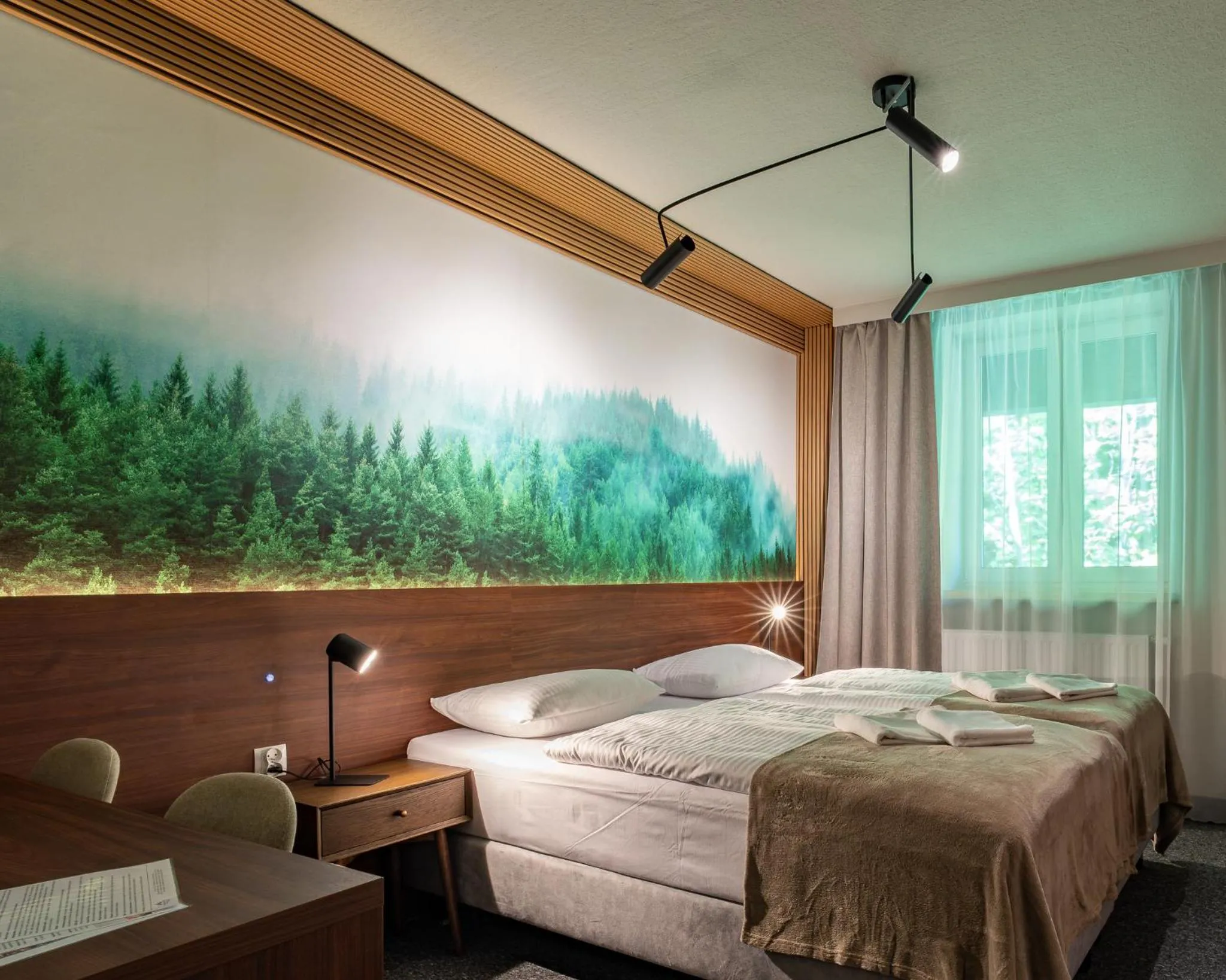Bed in OW Sudety