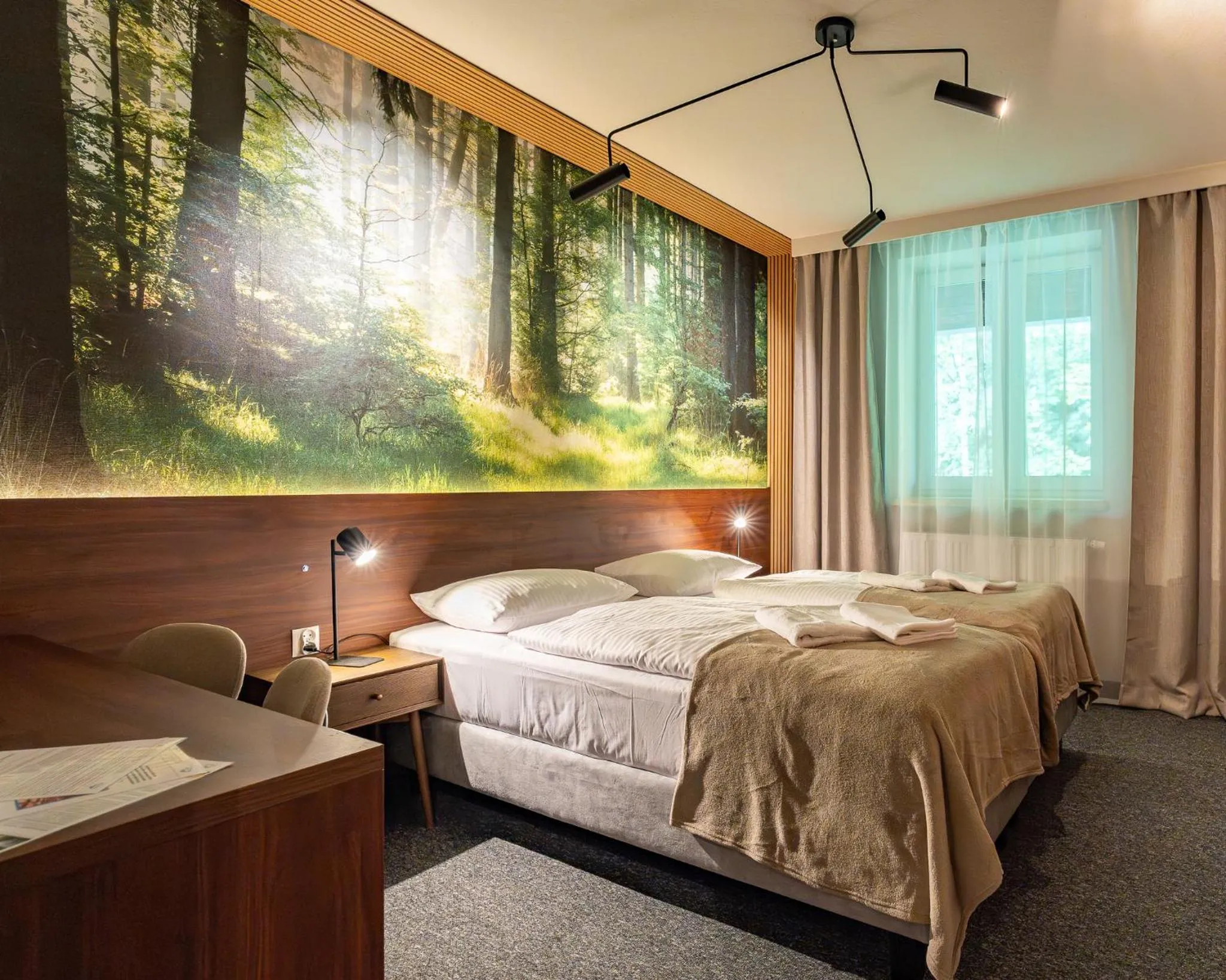 Bed in OW Sudety
