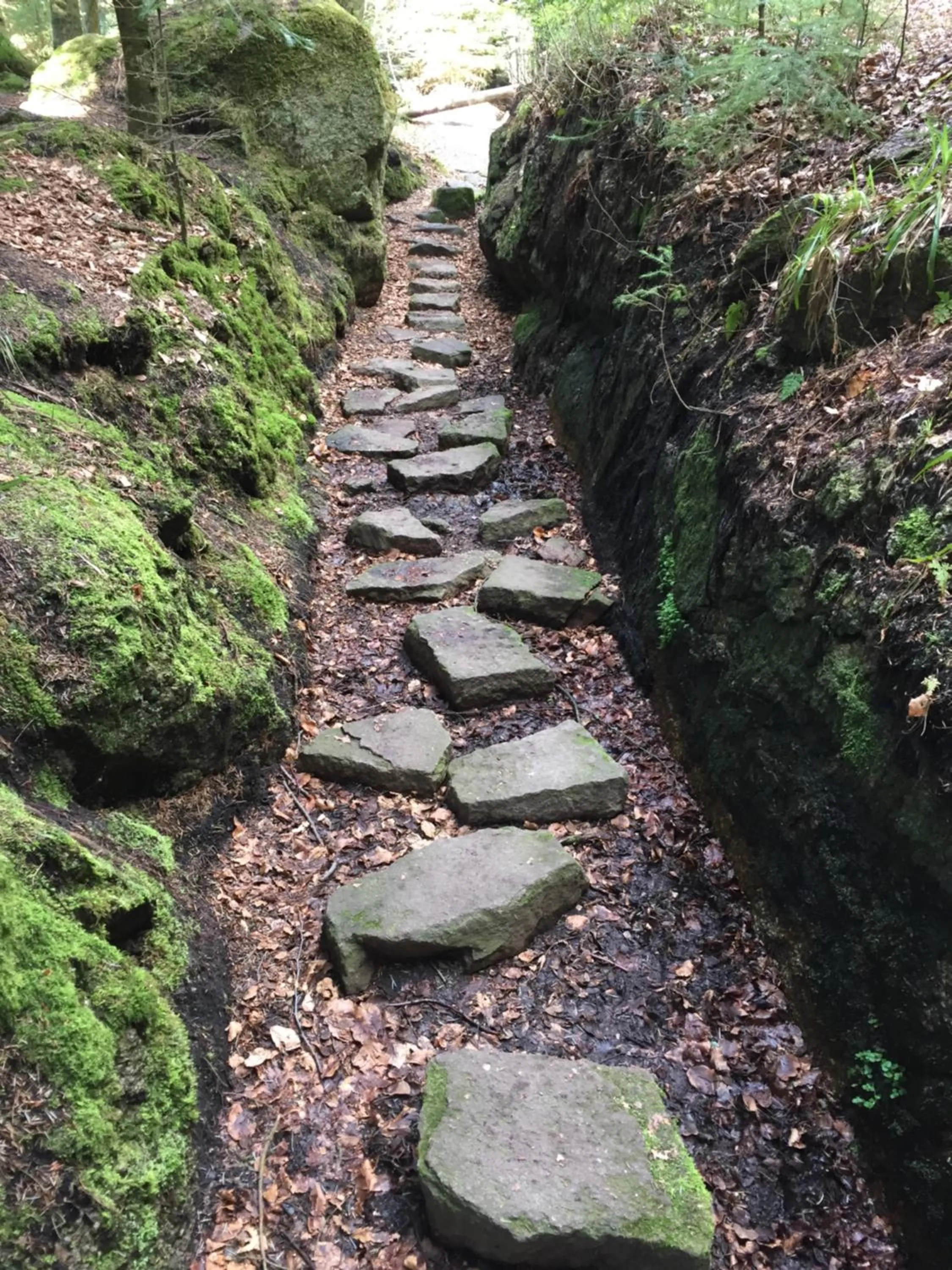 Hiking in Hotel Kull von Schmidsfelden
