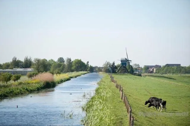 Natural landscape in Boutique Hotel - de Stadsherberg Alphen