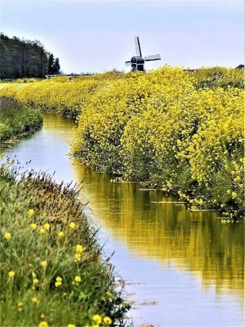 Boutique Hotel - de Stadsherberg Alphen