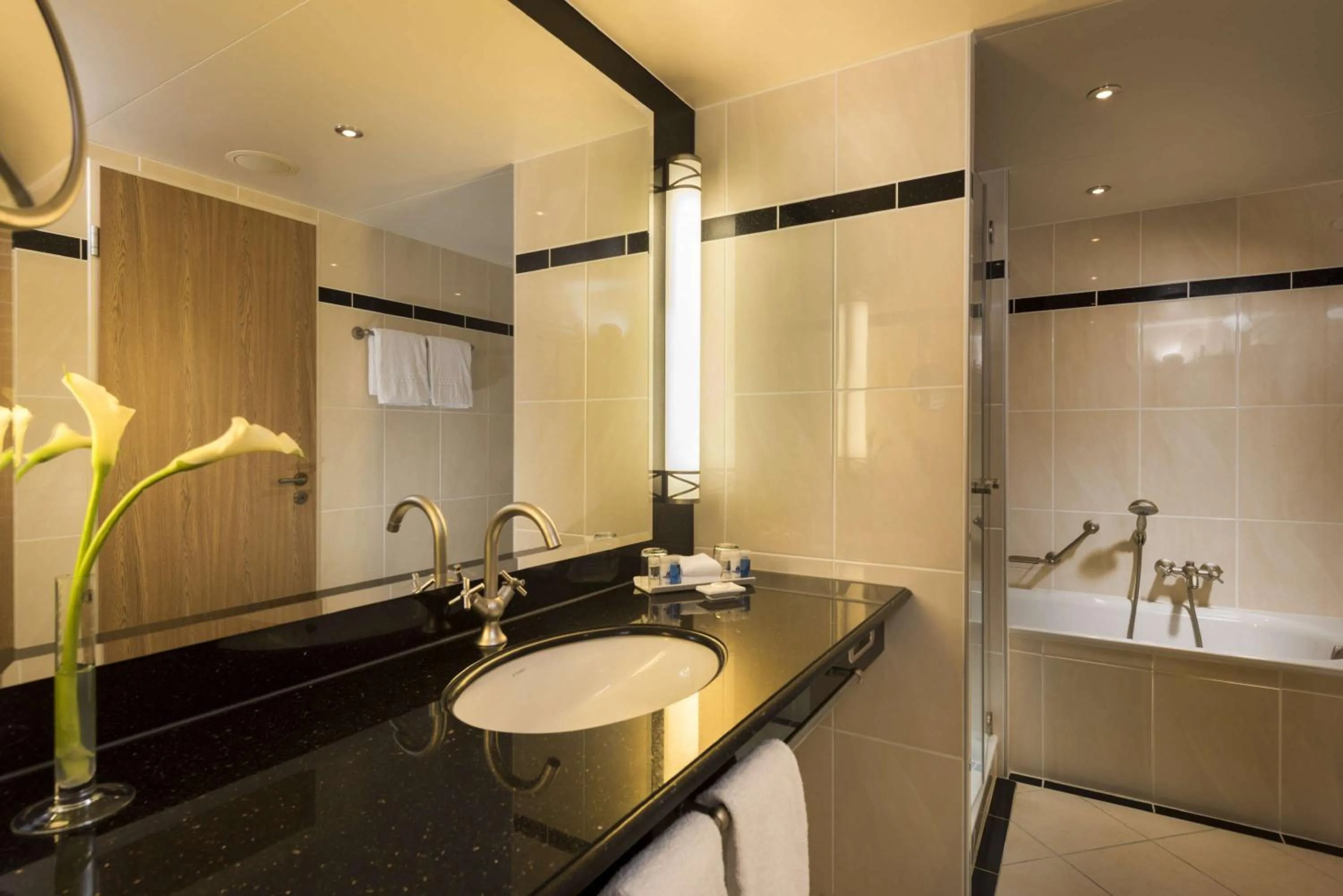 Bathroom in Maritim Hotel Dresden