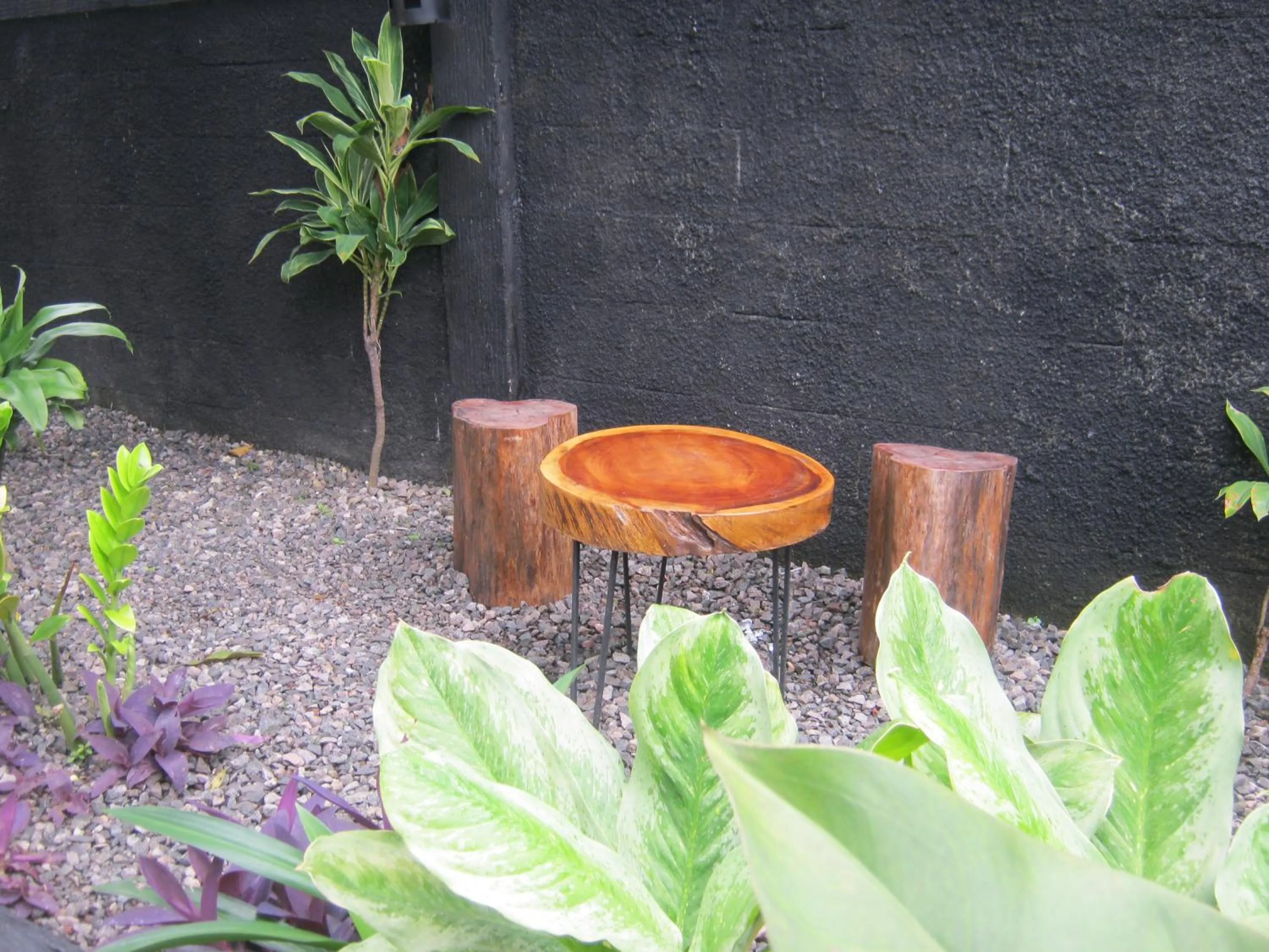 Garden in Aqilakost Gadog Puncak Bogor