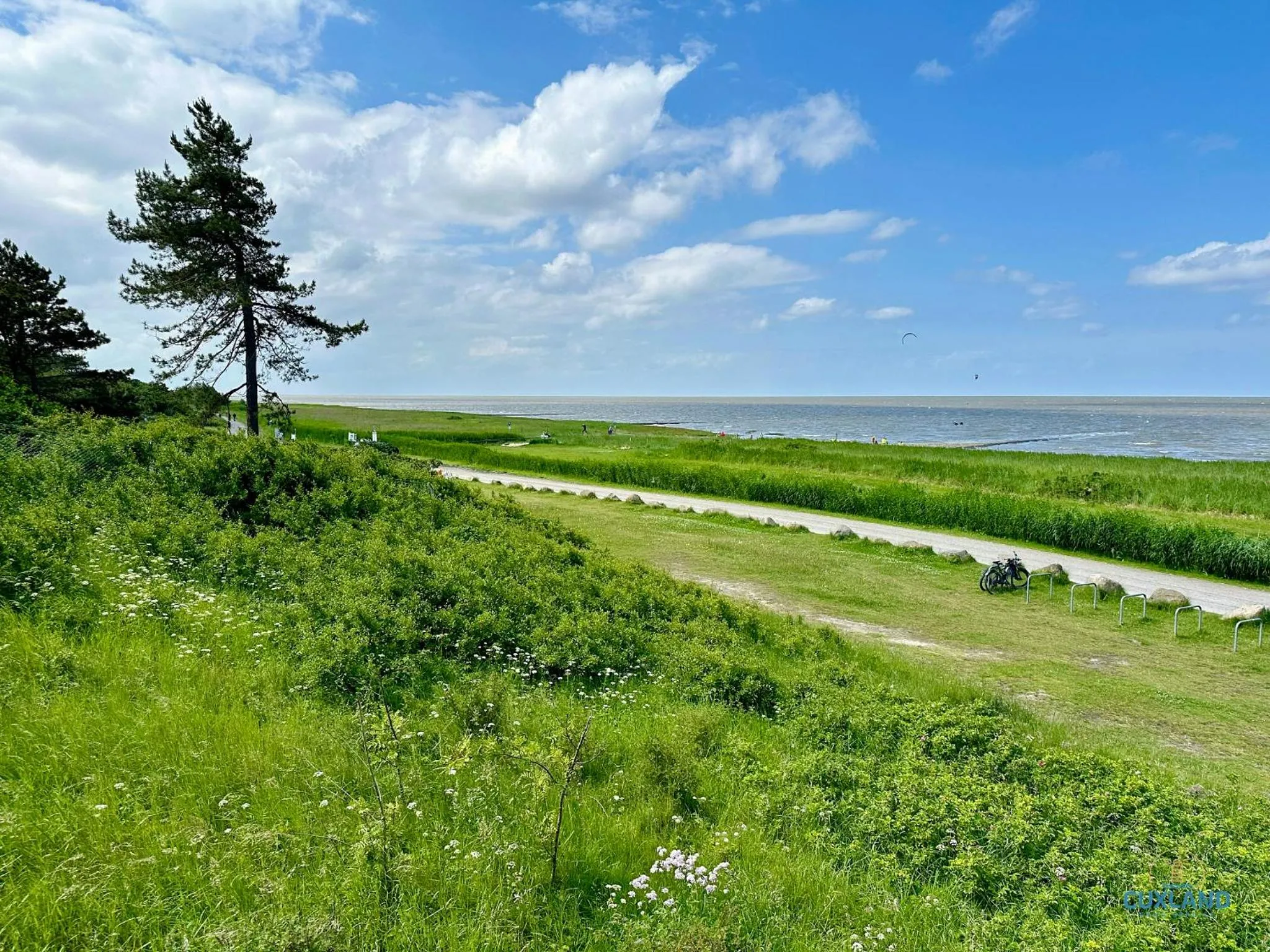 Urlaub mit spektakulärer Aussicht auf das Wattenmeer