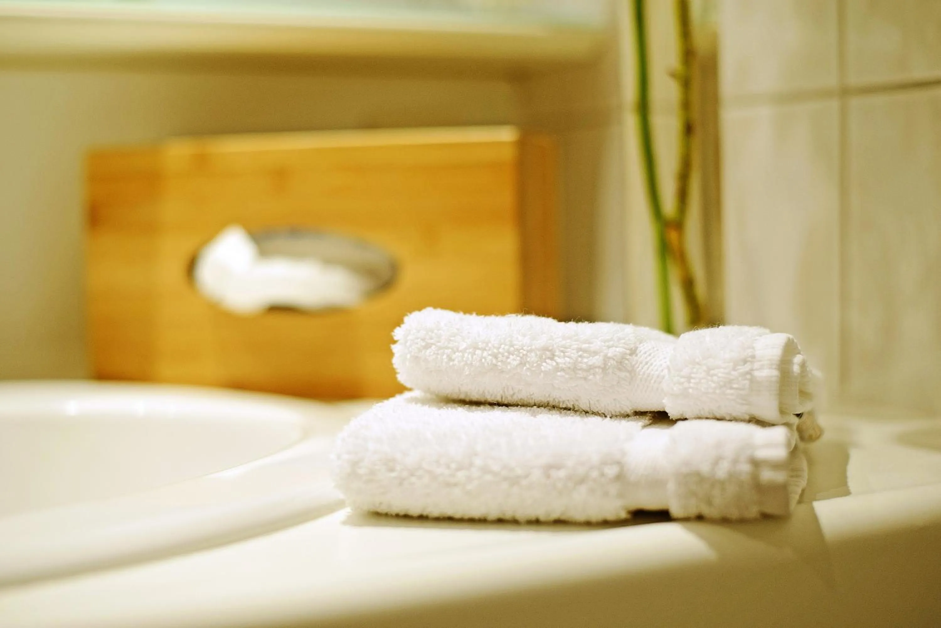 Bathroom in Hotel Palin