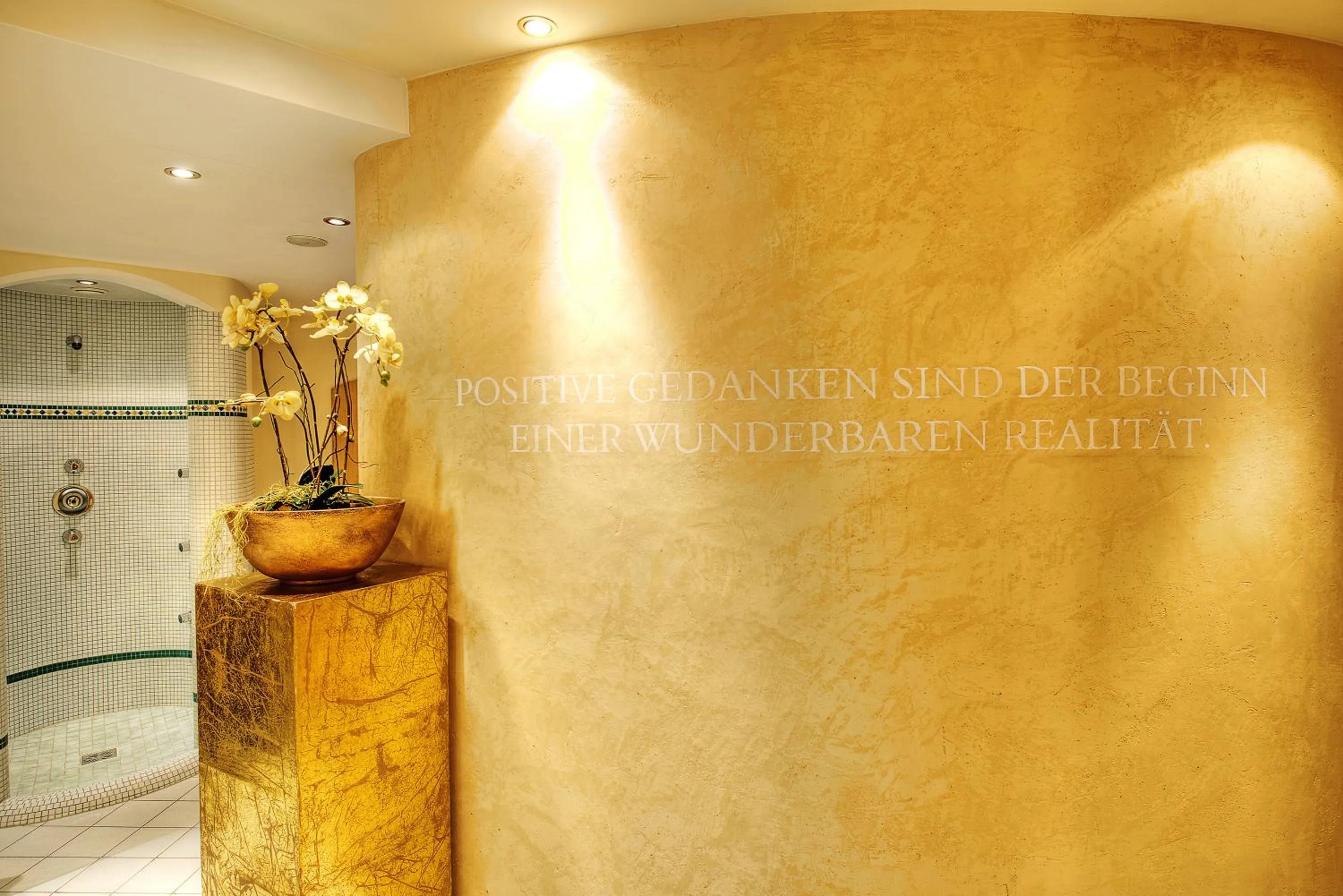 Spa and wellness centre/facilities in Hotel Palin