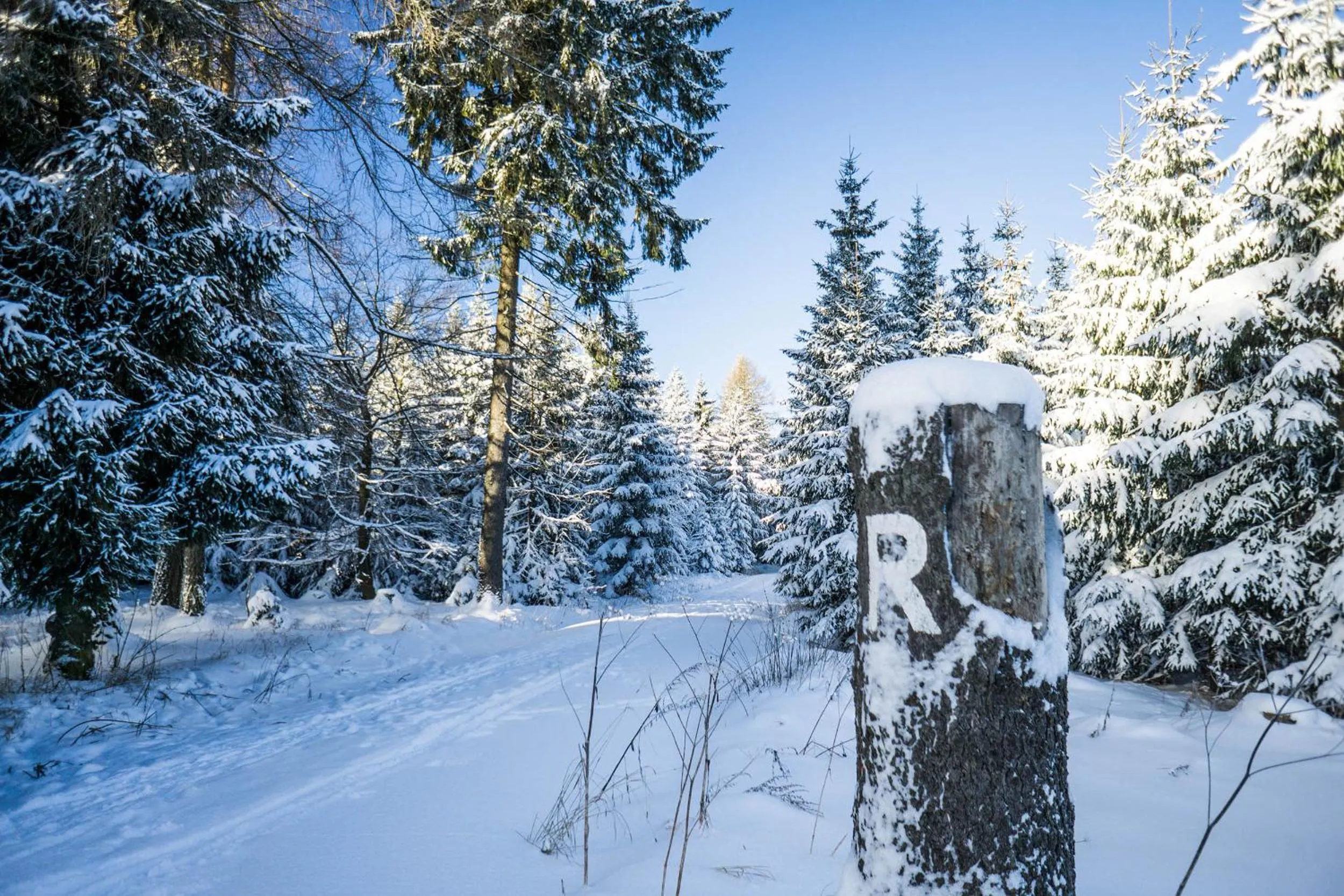 Natural landscape in Hotel Beck
