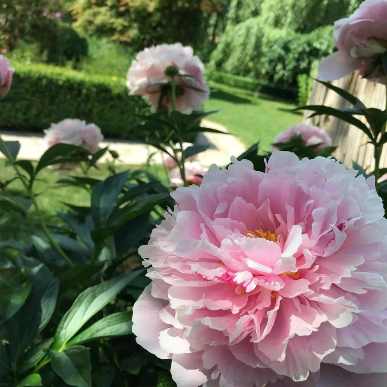 Property building in Hotel Kainsbacher Mühle