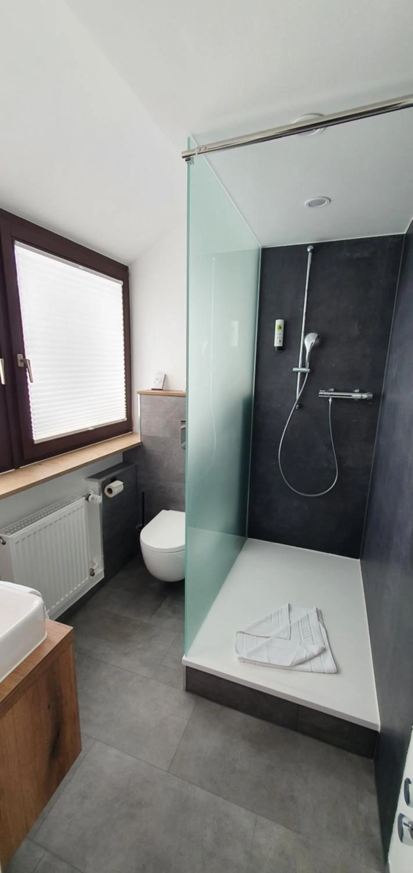 Shower in Hotel Kainsbacher Mühle