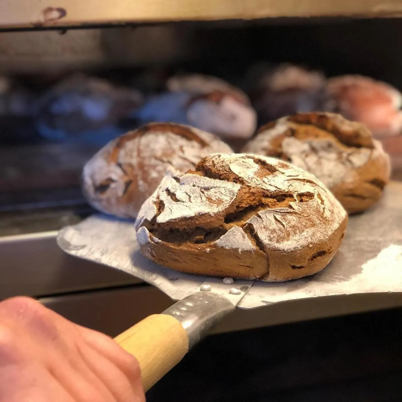 Restaurant/places to eat in Hotel Kainsbacher Mühle