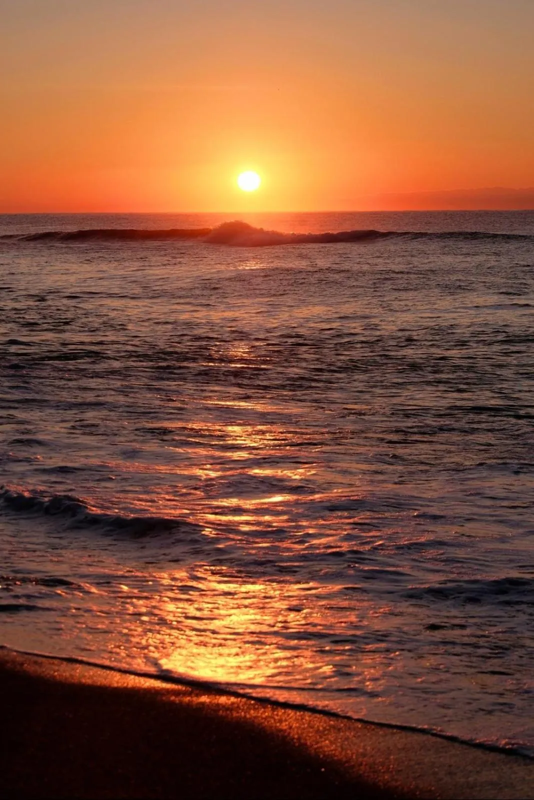 Natural landscape in Hotel Aurora