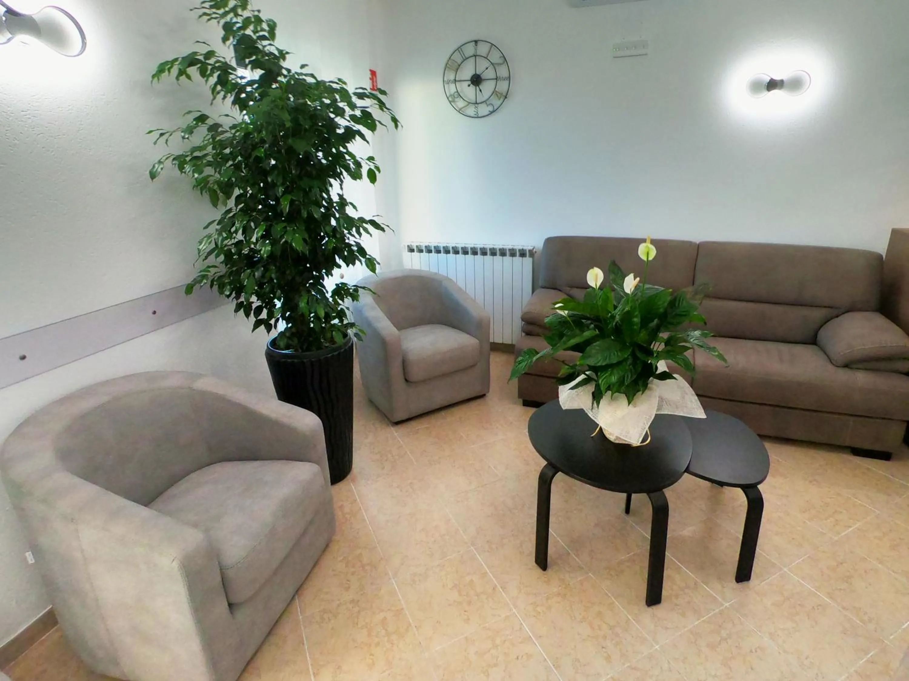 Summer in Hotel Aurora