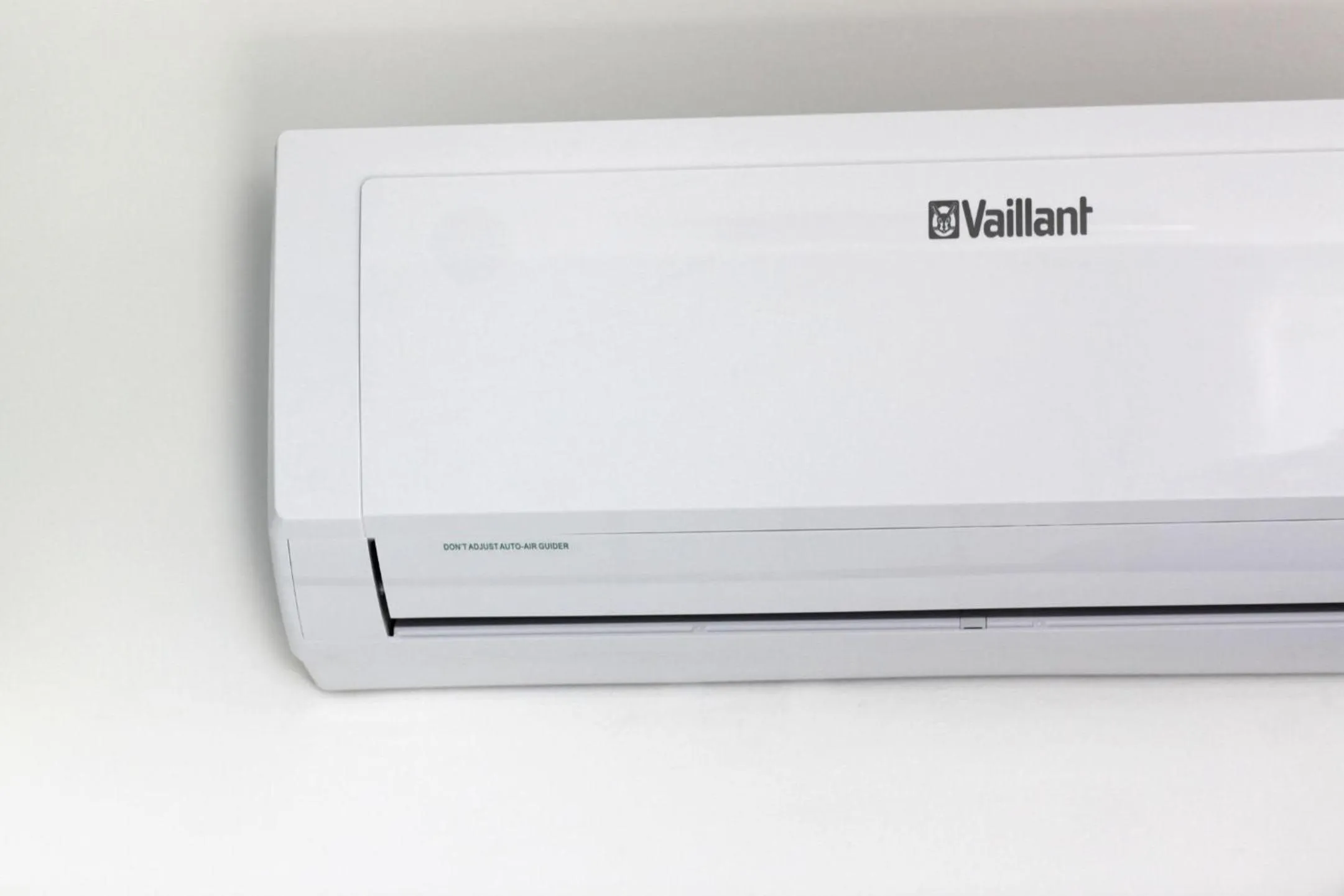 Area and facilities in Hotel Aurora