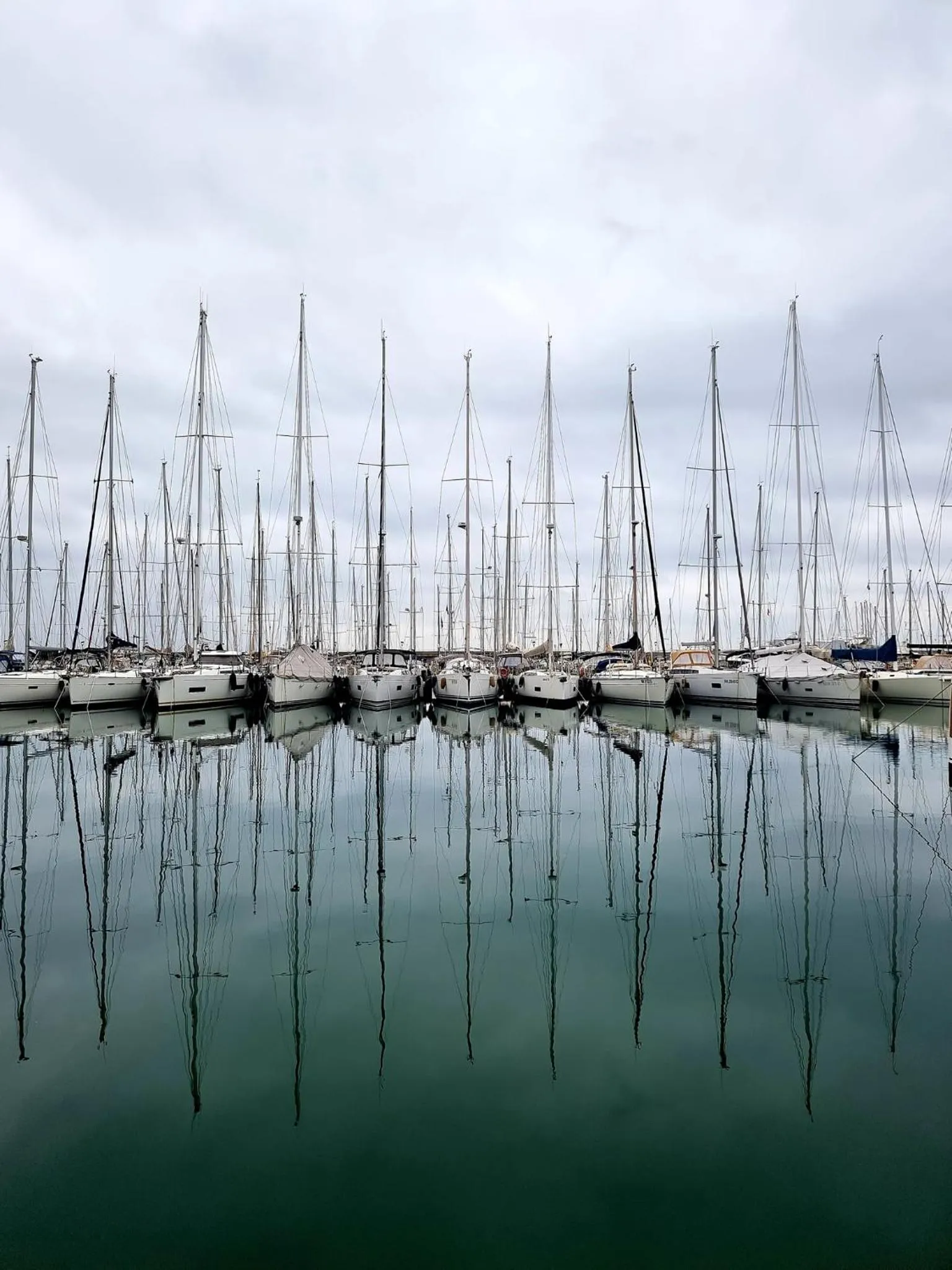 Natural landscape in Hotel Aurora