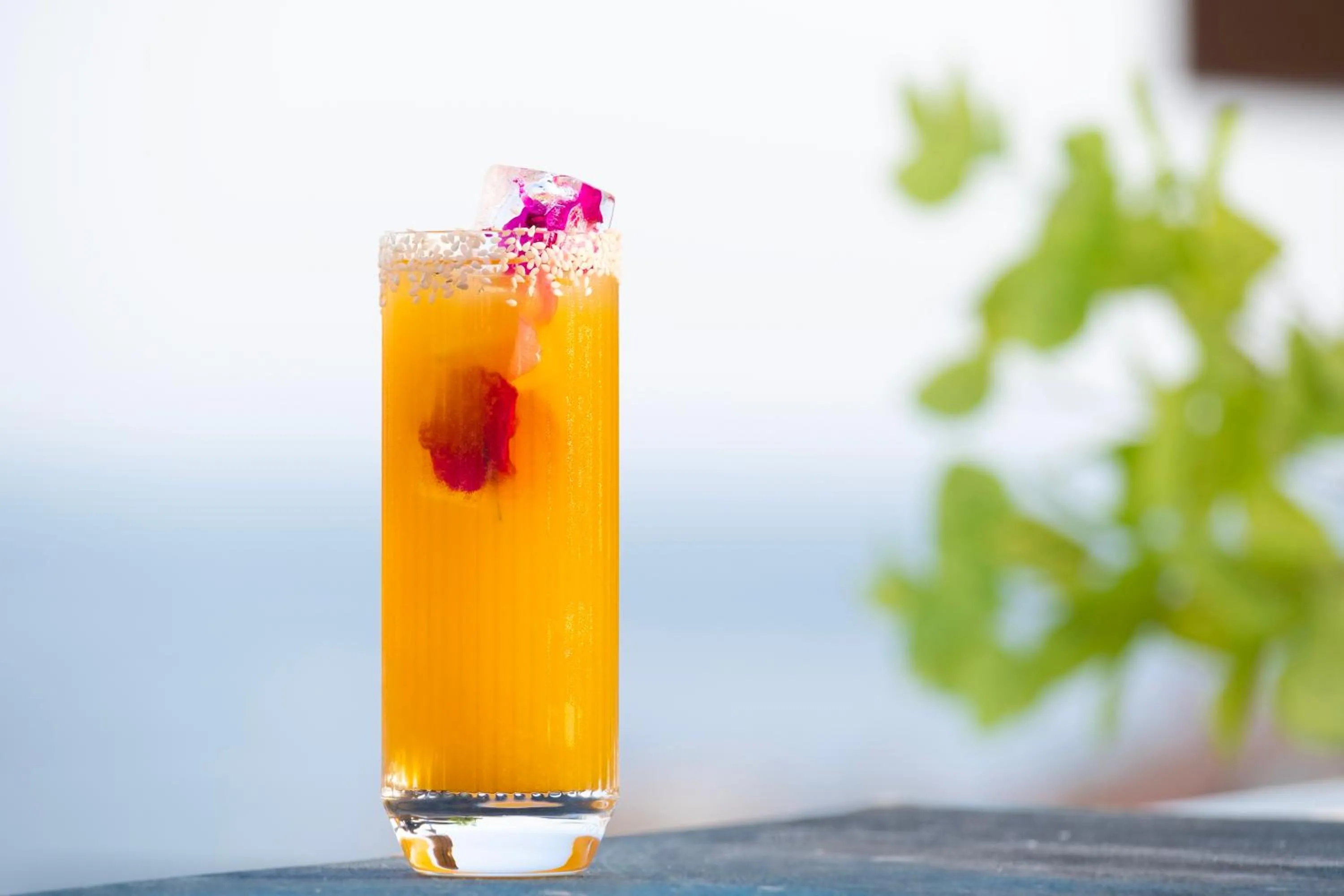 Drinks in Kalkan Saray Suites Hotel